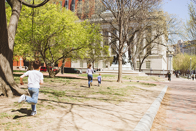 the-national-mall-dc.jpg