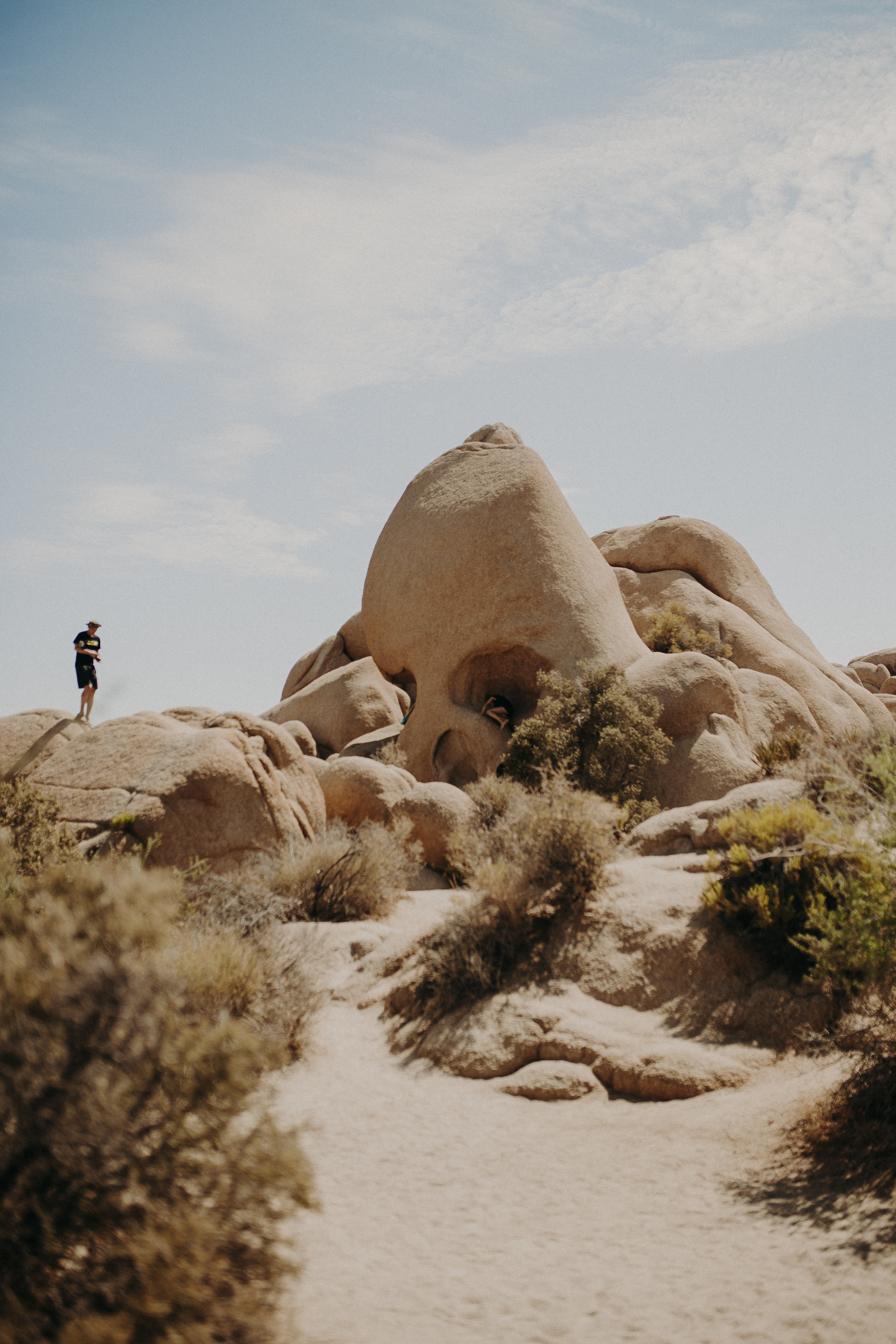 Joshua-Tree-National-Park-11.jpg