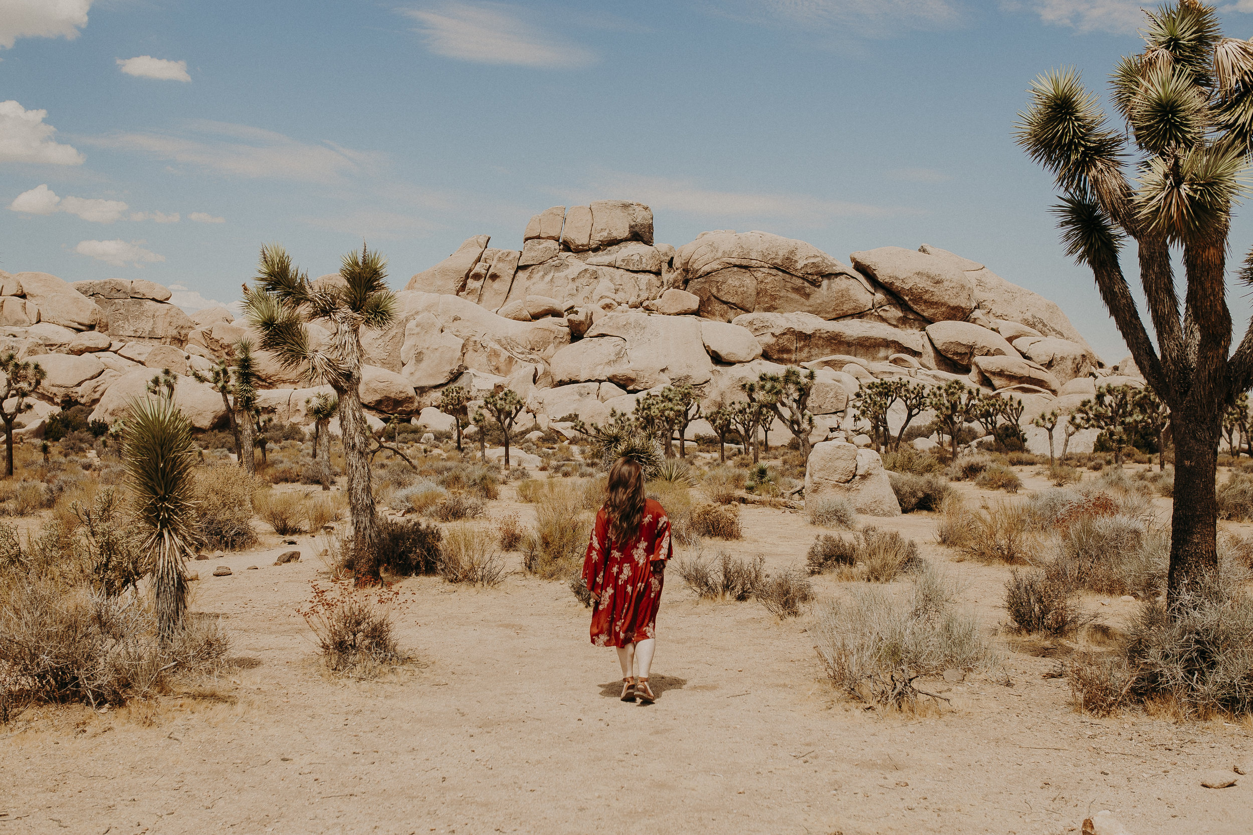 Joshua-Tree-National-Park-17.jpg