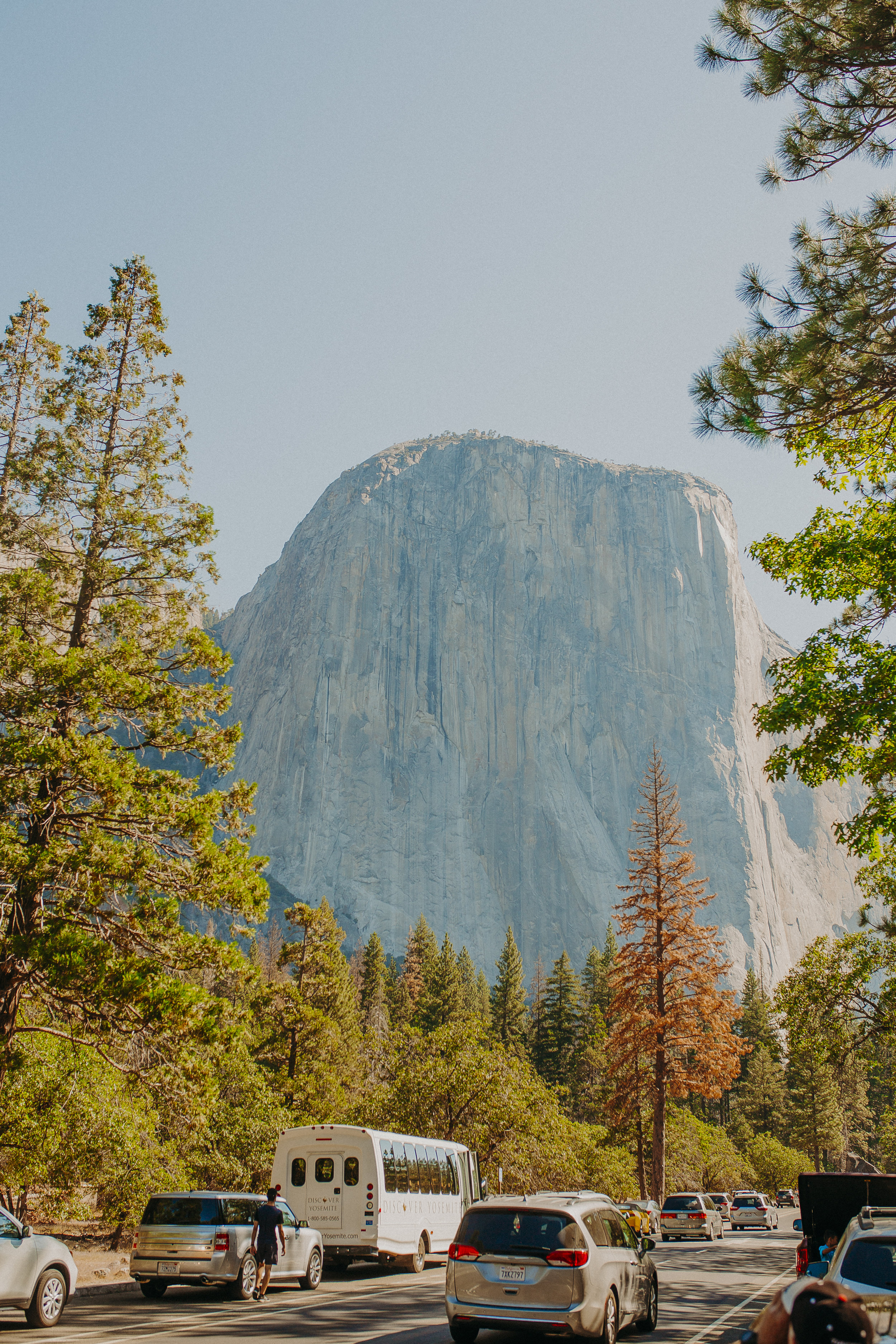 Visit-Yosemite-National-Park-Pictures-California-2.jpg