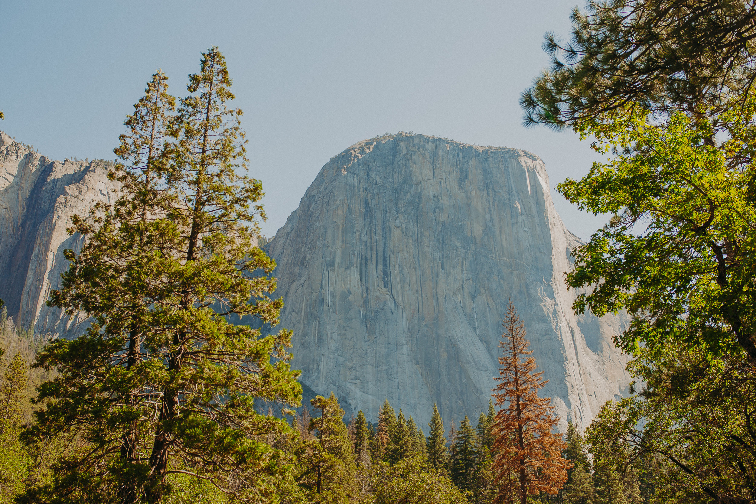 Visit-Yosemite-National-Park-Pictures-California.jpg