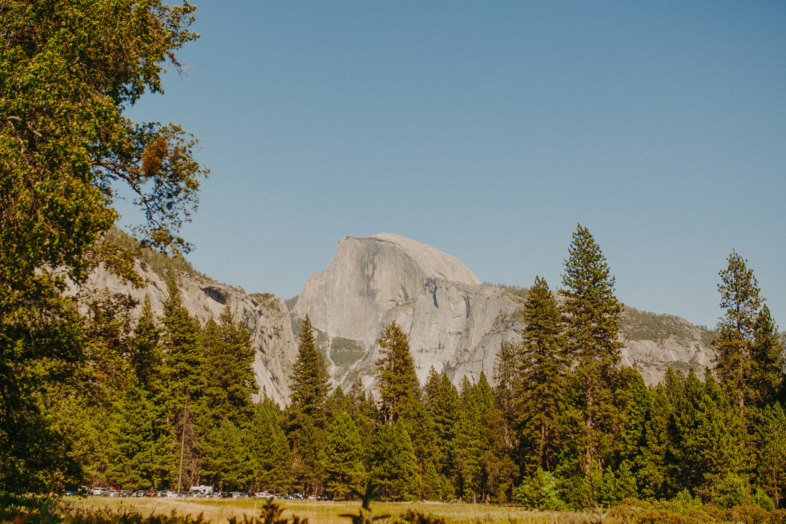Visit-Yosemite-National-Park-Pictures-California-19.jpg
