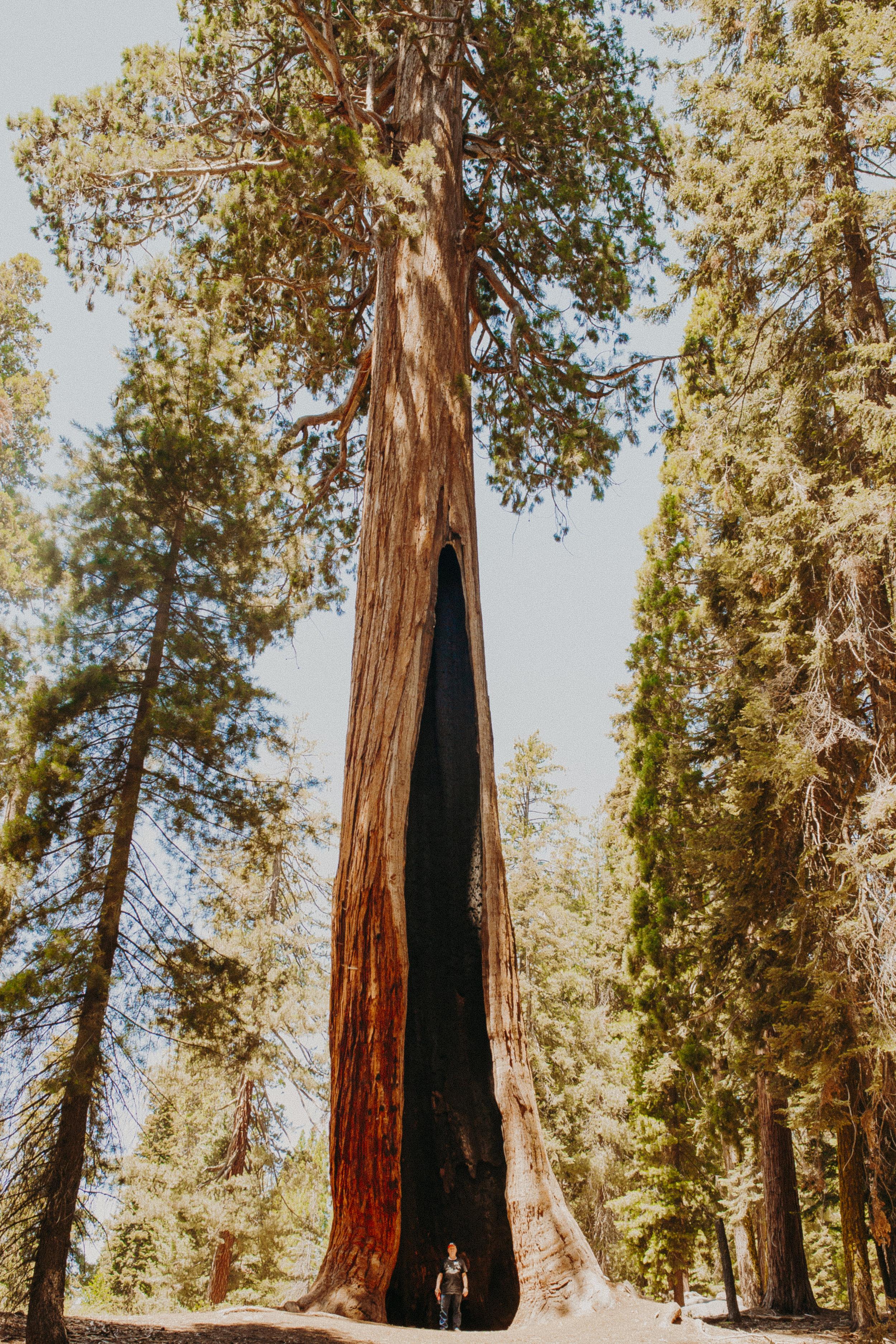 Sequoia-National-Park-California-Summer-Road-Trip-2.jpg
