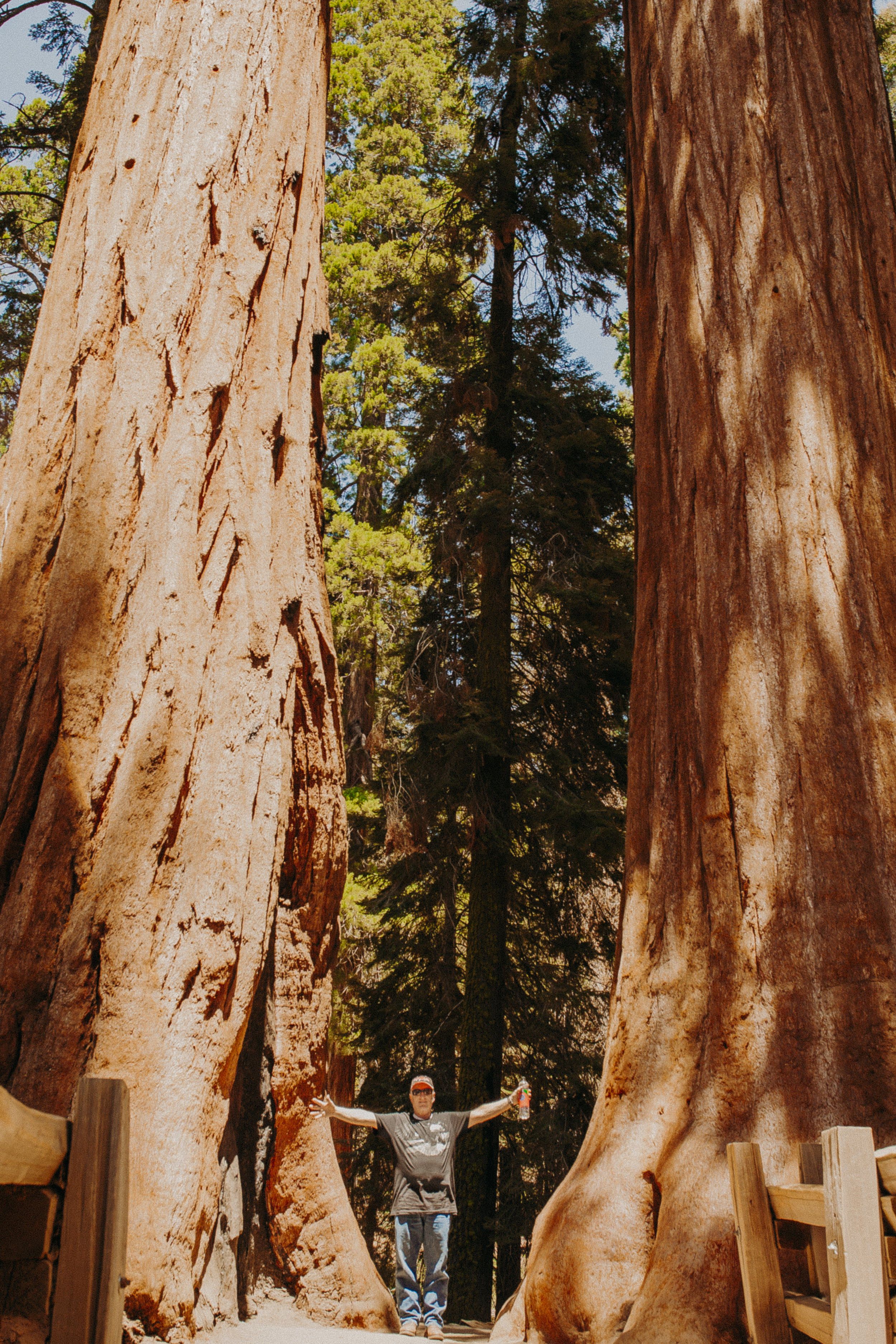 Sequoia-National-Park-California-Summer-Road-Trip-5.jpg