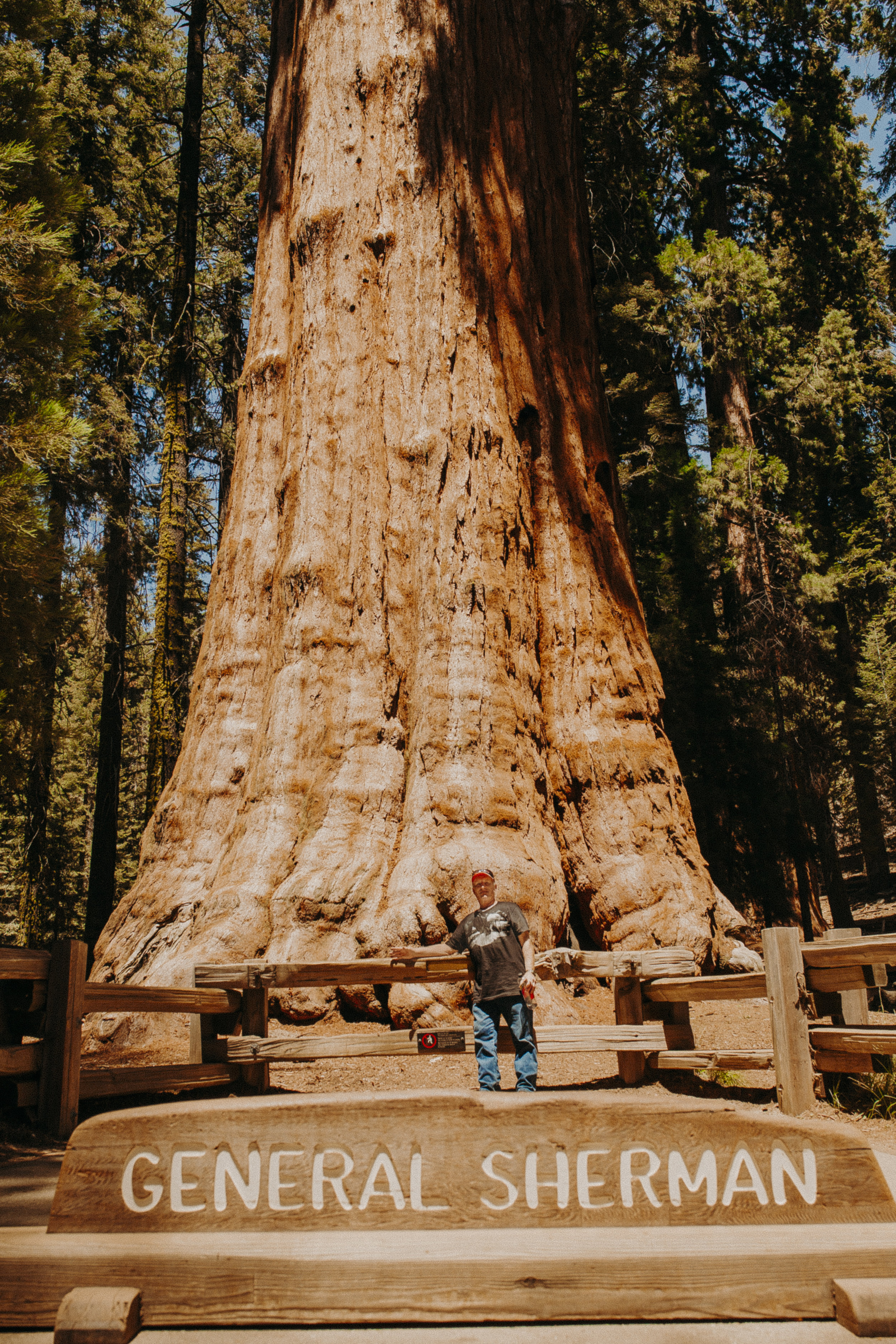 Sequoia-National-Park-California-Summer-Road-Trip-7.jpg