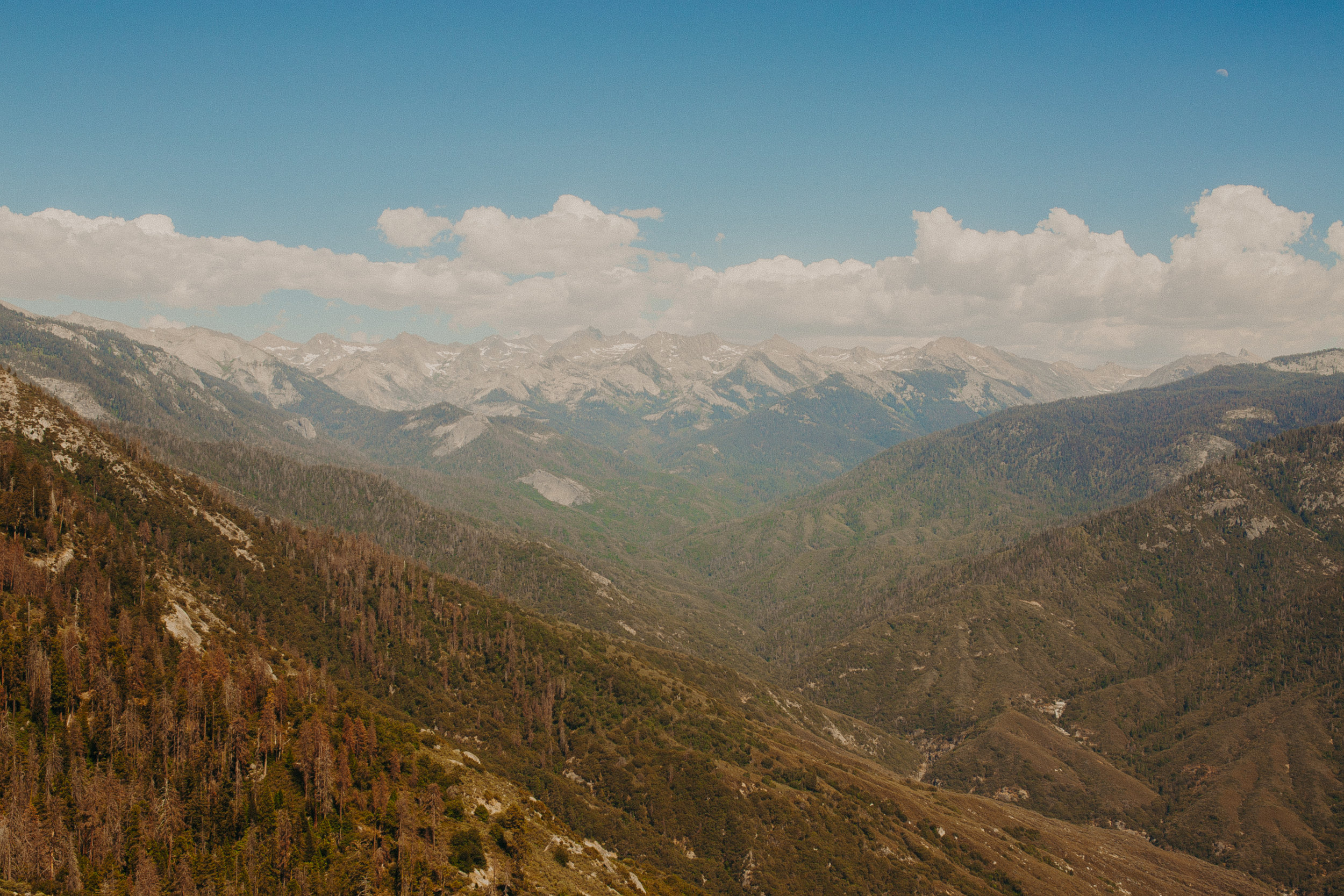 Sequoia-National-Park-California-Summer-Road-Trip-19.jpg