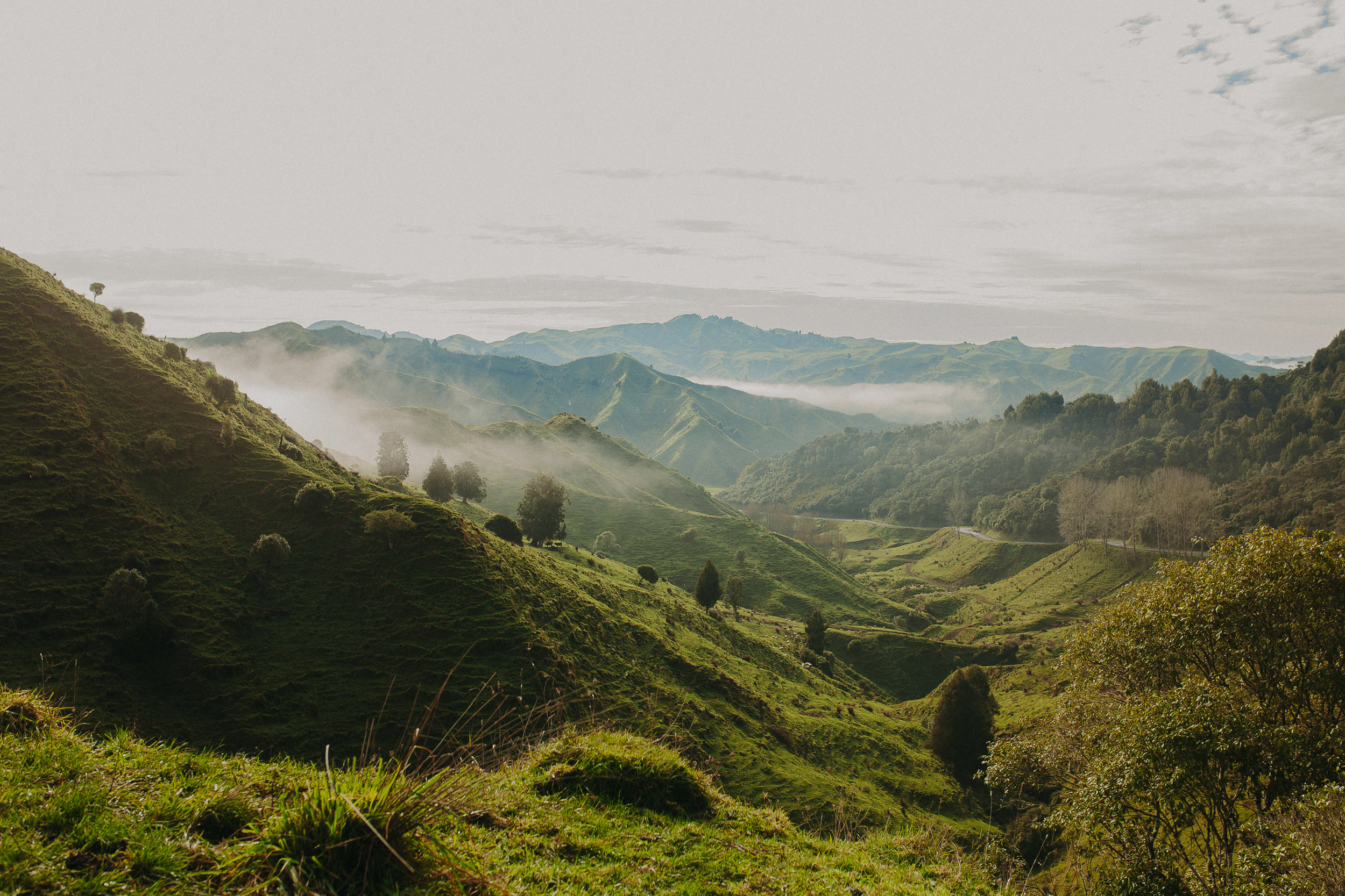 Forgotten-World-Highway-New-Zealand-10.jpg