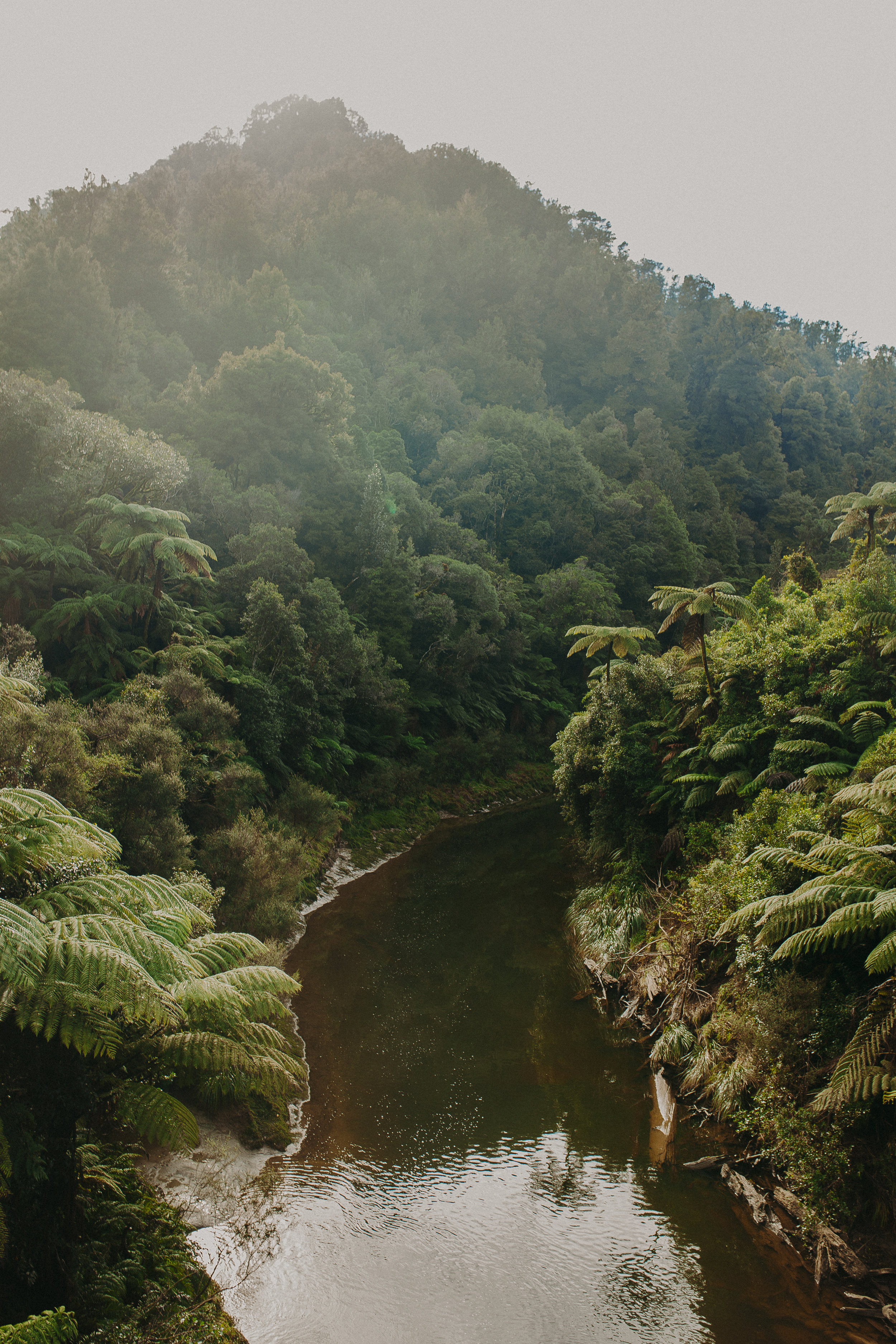 Forgotten-World-Highway-New-Zealand-11.jpg