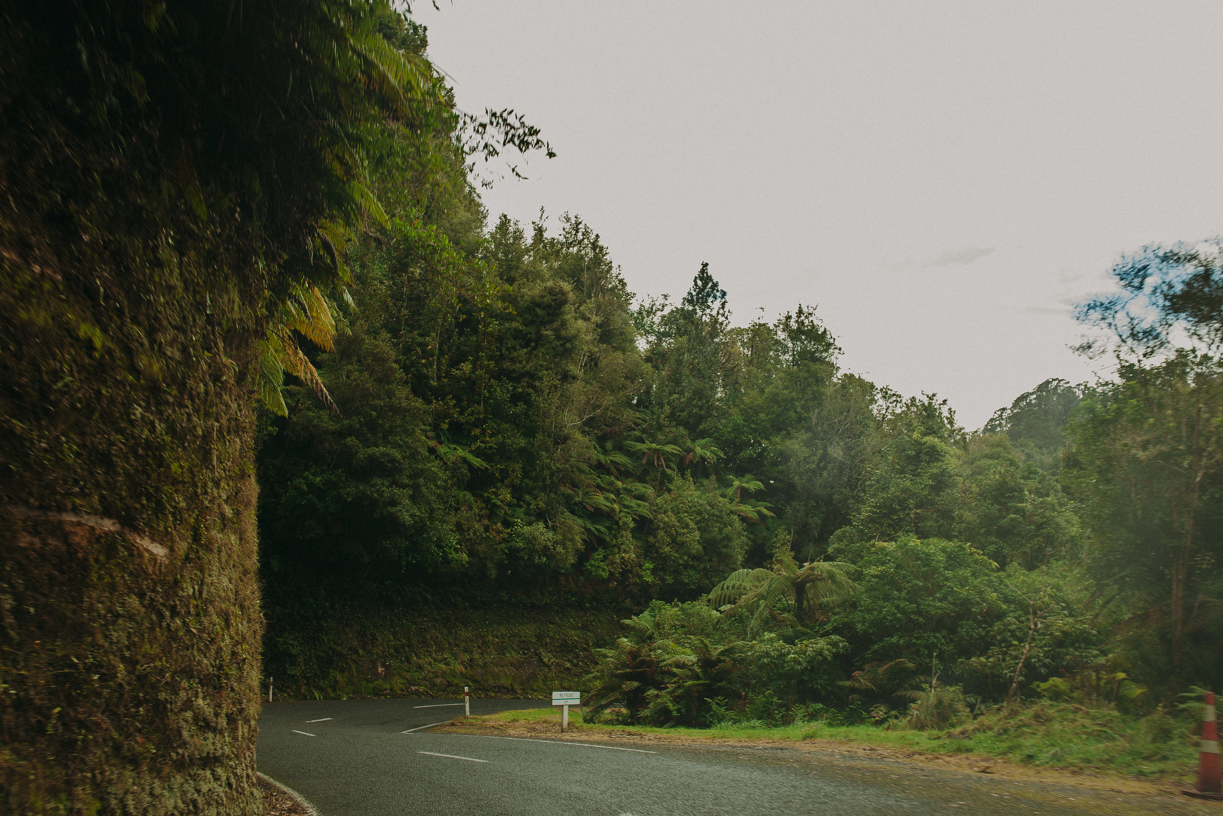 Forgotten-World-Highway-New-Zealand-29.jpg