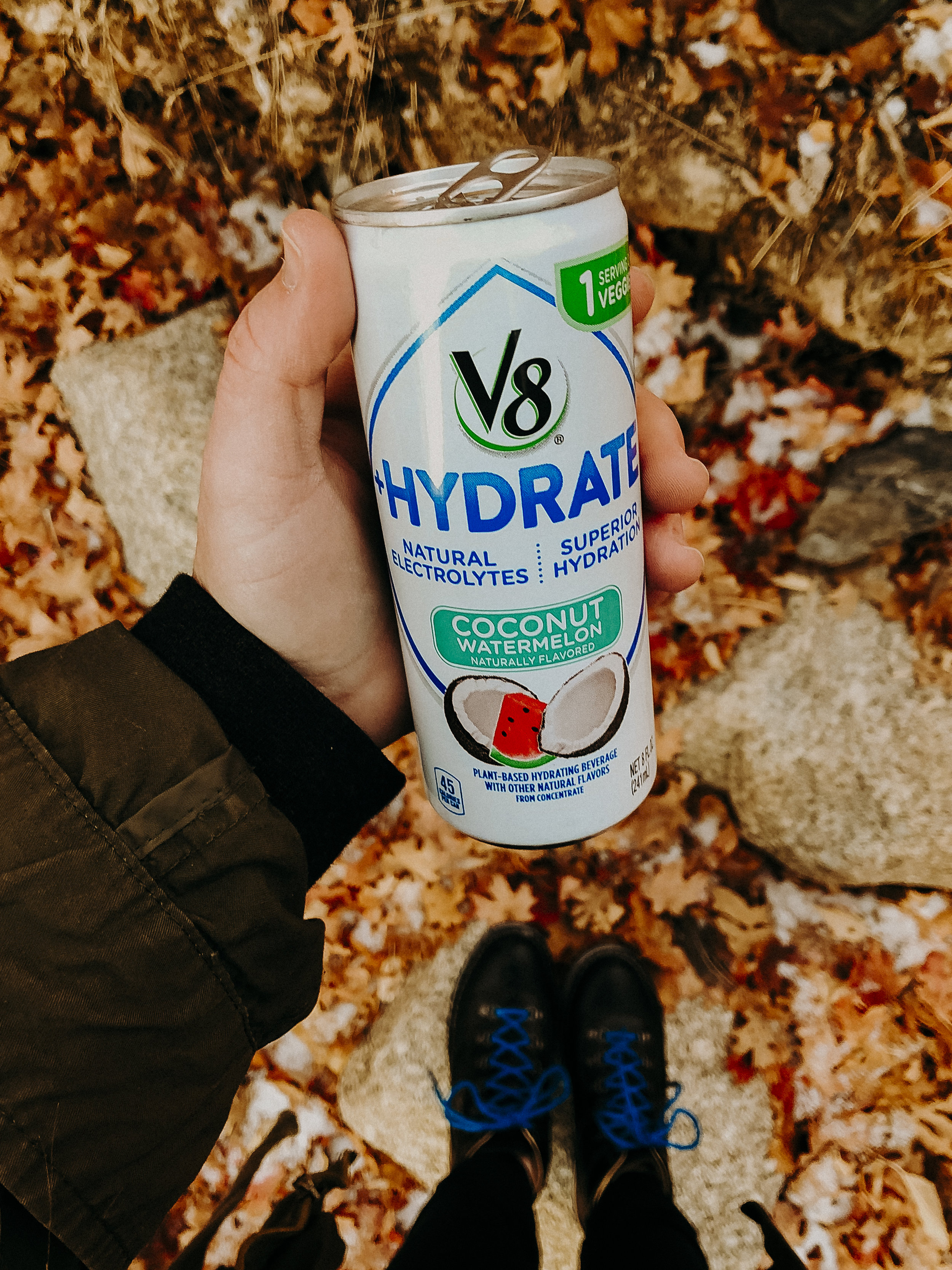V8-Hydrate-Post-Holiday-Pick-Me-Up-2.jpg