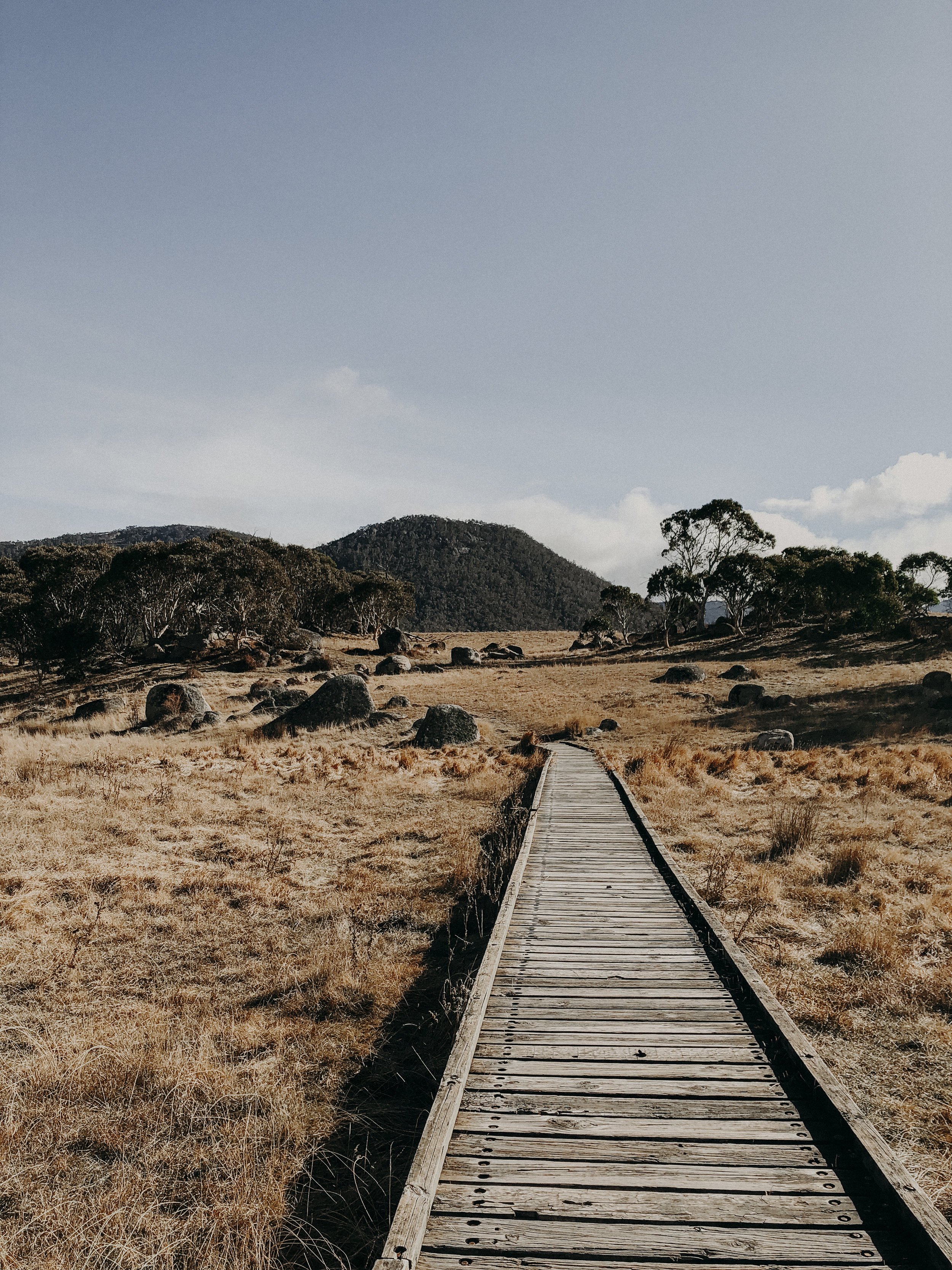     Yankee Hat Rock    -  This “bush walk” was probably my favorite. It’s located within the Namadgi National Park, where the landscape was breathtaking, there were mobs of kangaroos (Did you know a group of kangaroos is called a “mob”?), and at the 