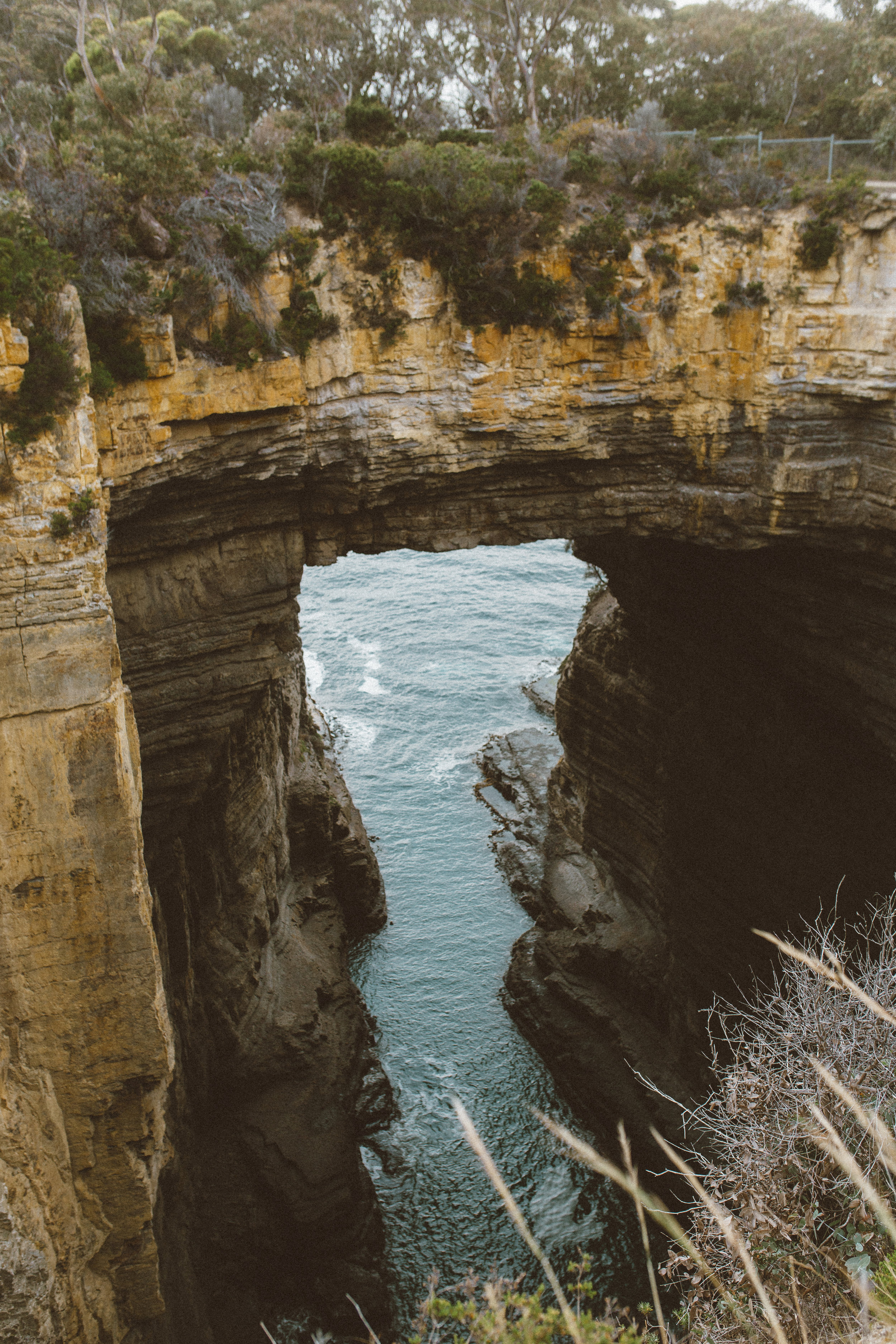  Tasman Arch 