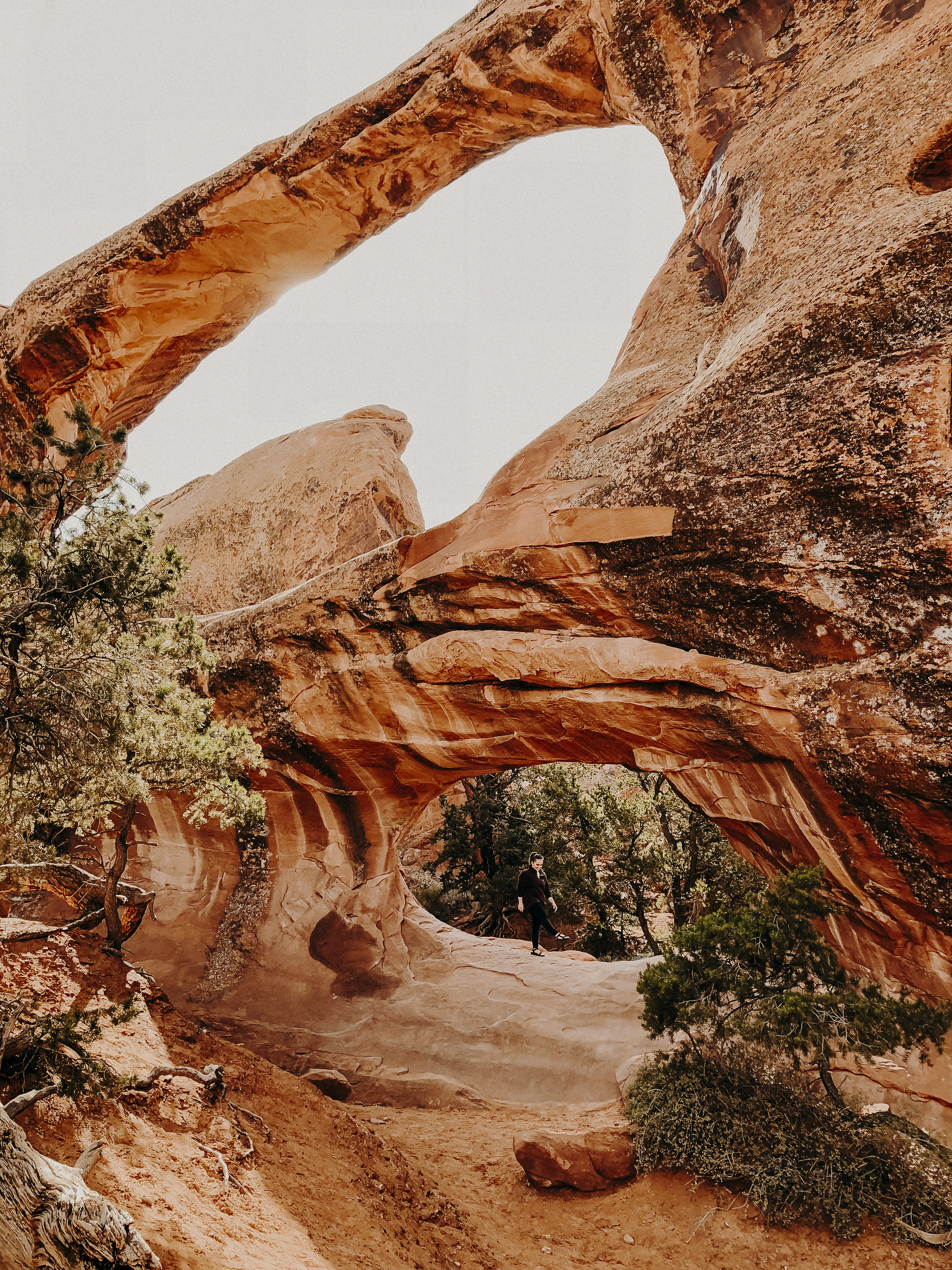  Double O Arch, as viewed coming in from the trail 