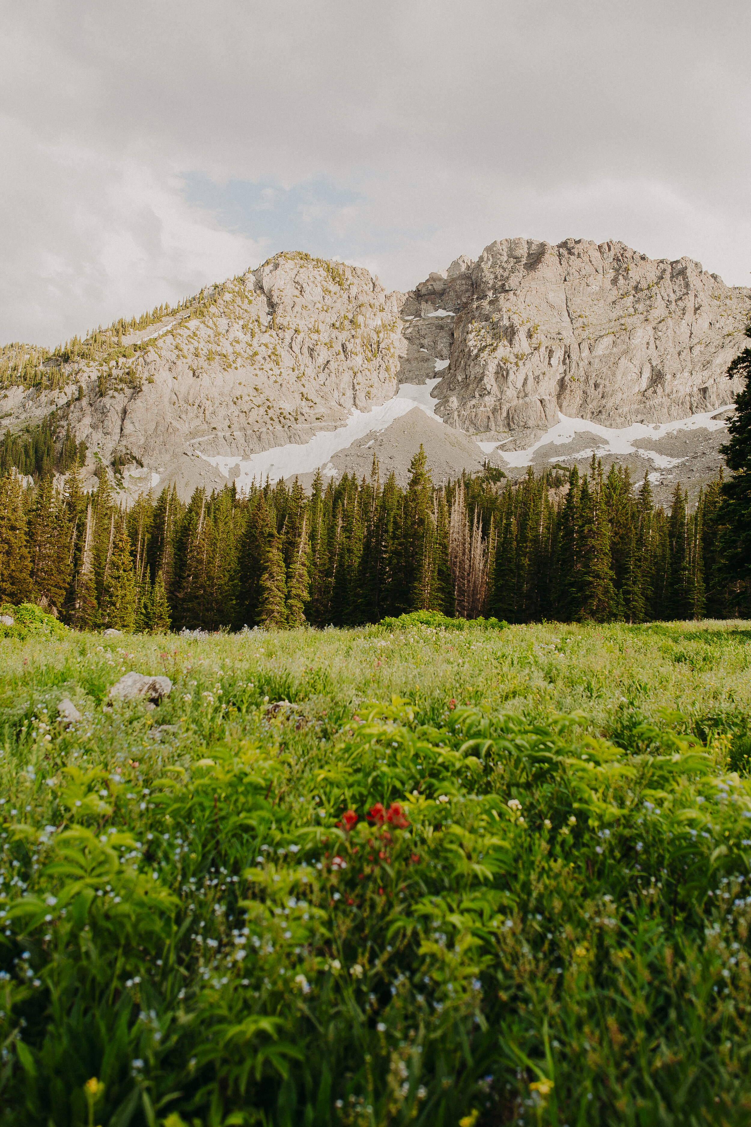 Take A Nature Walk