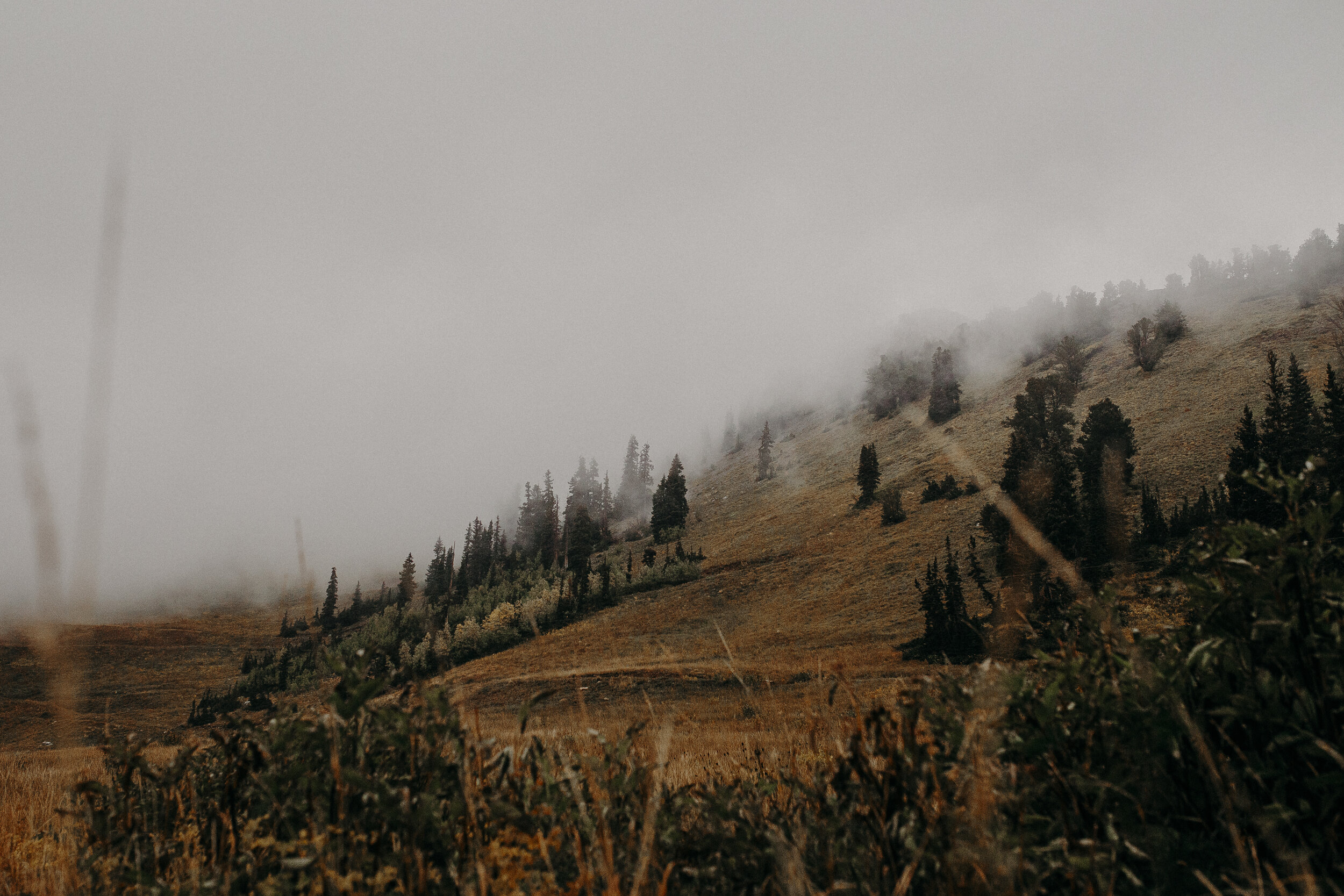 utah mountains in the fall fog-2.jpg