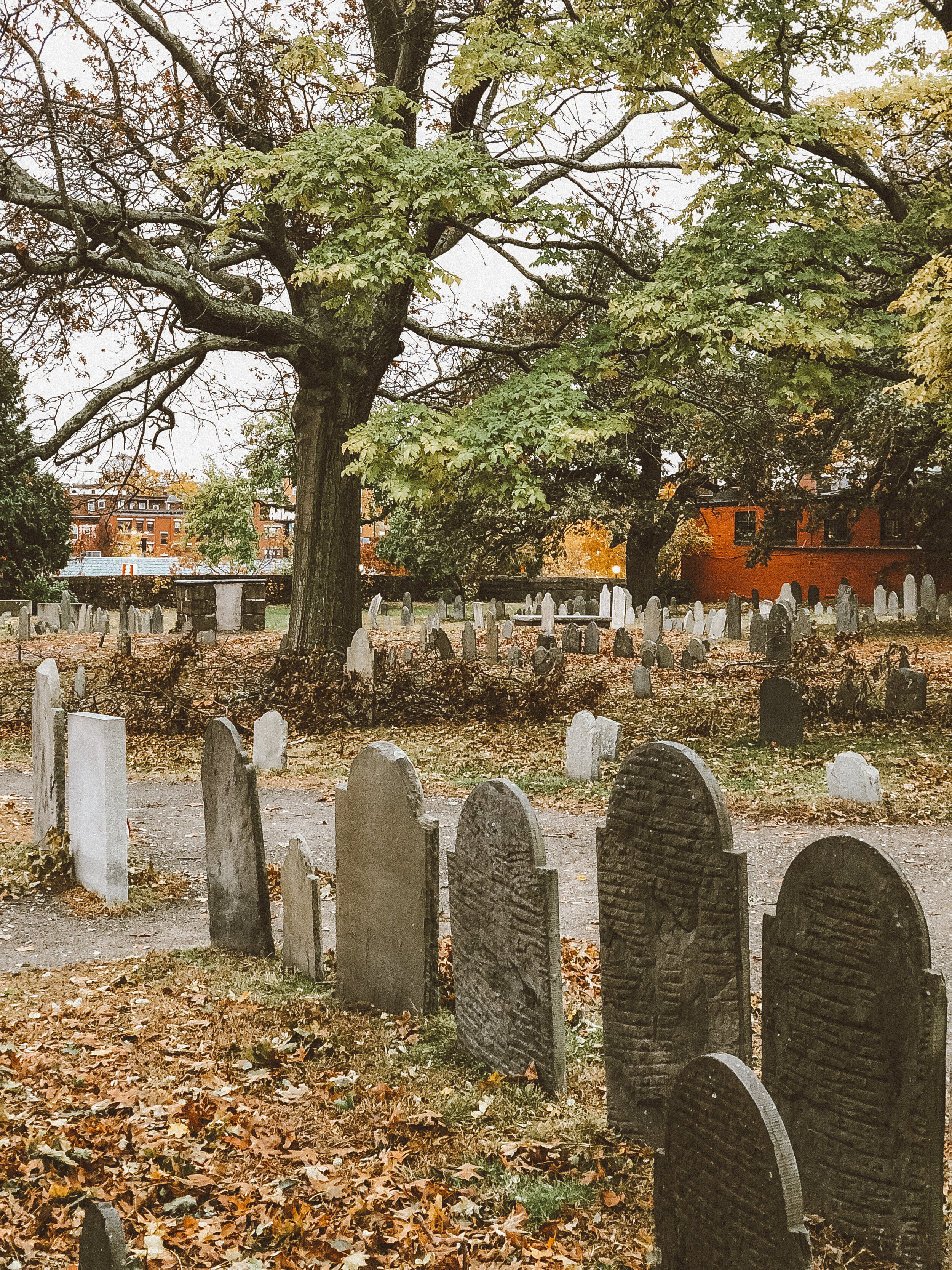 Old Burying Point Cemetery—Charter St.