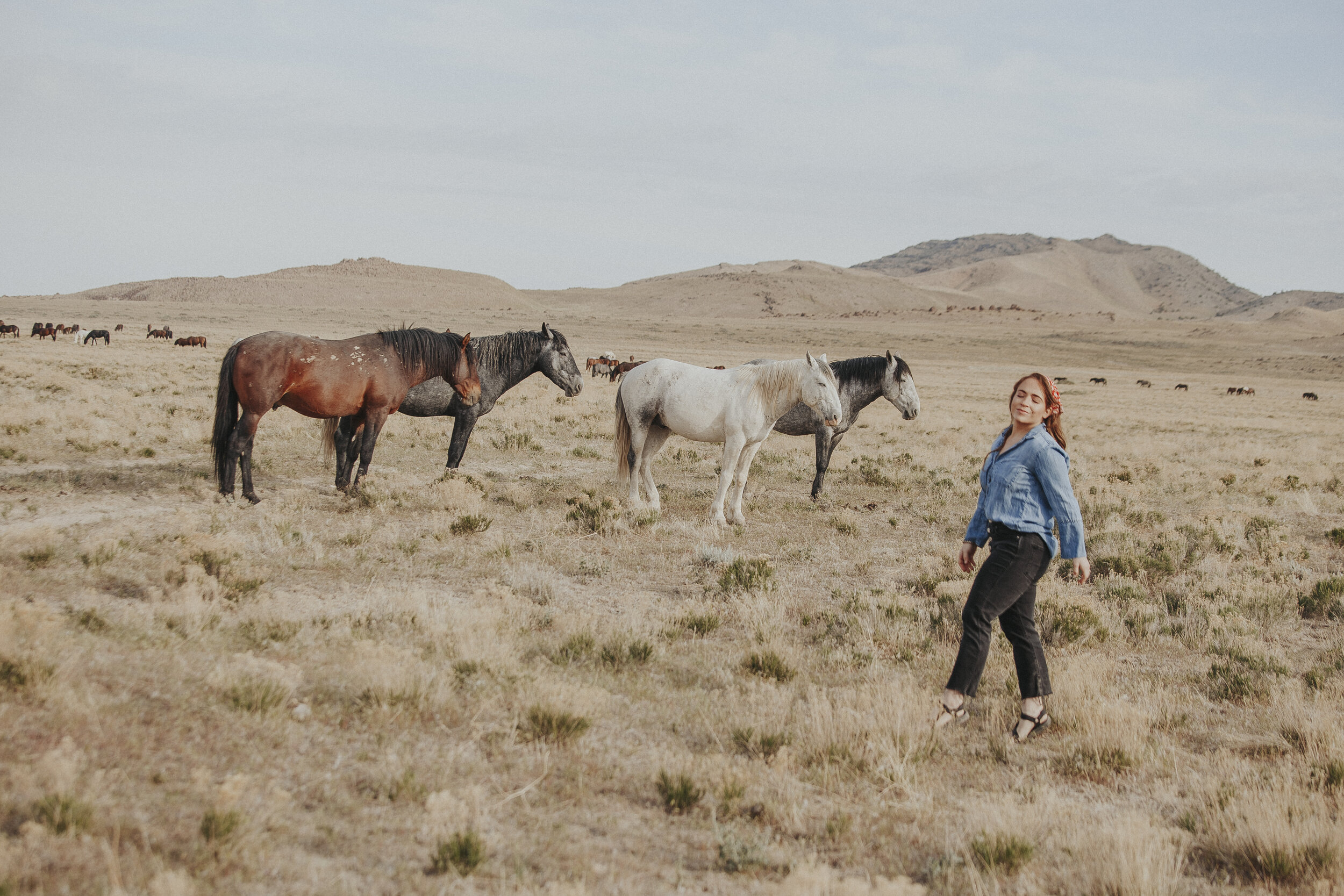 Wild Horses of Utah-26.jpg