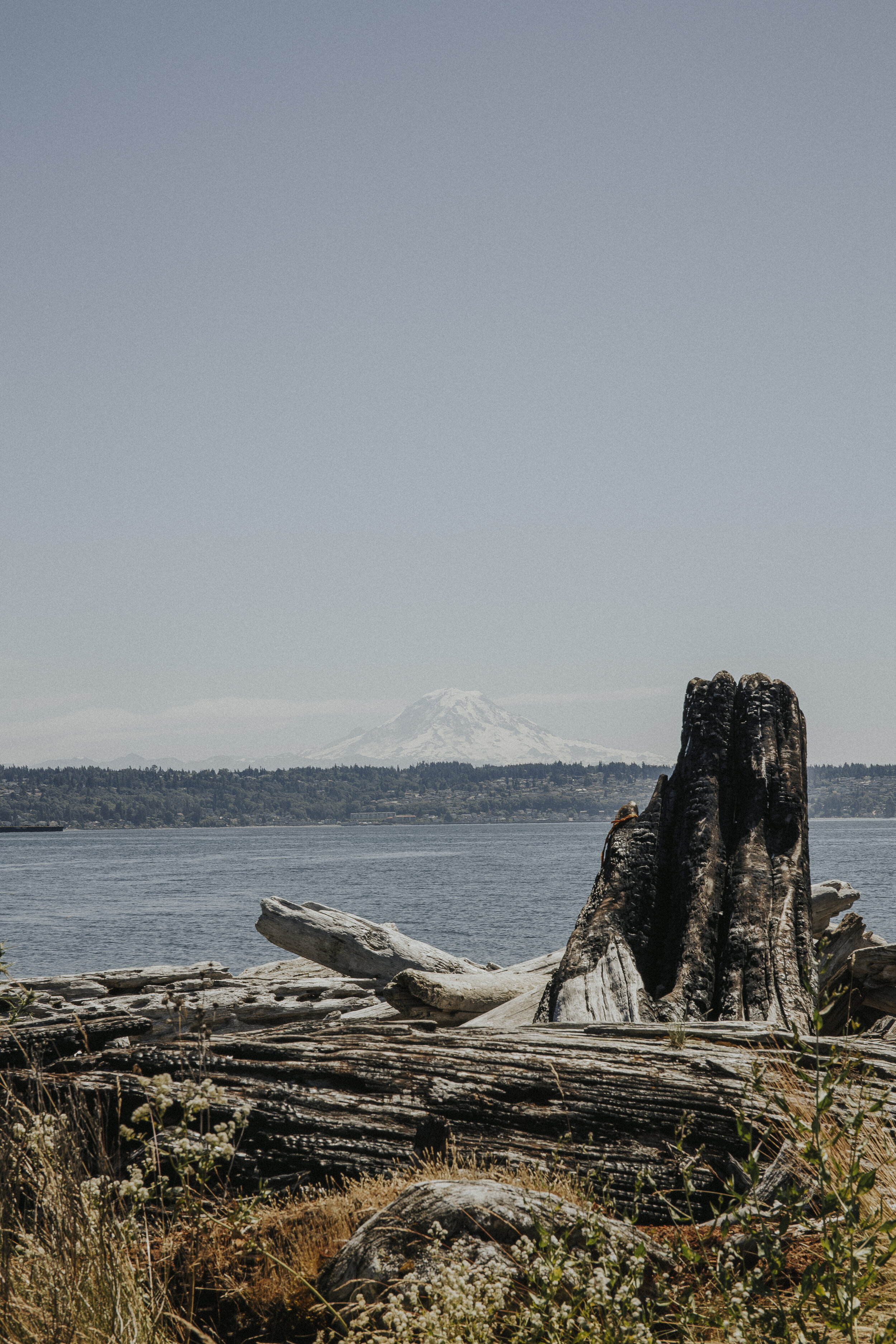 Vashon Island Washington What To Do-4.jpg