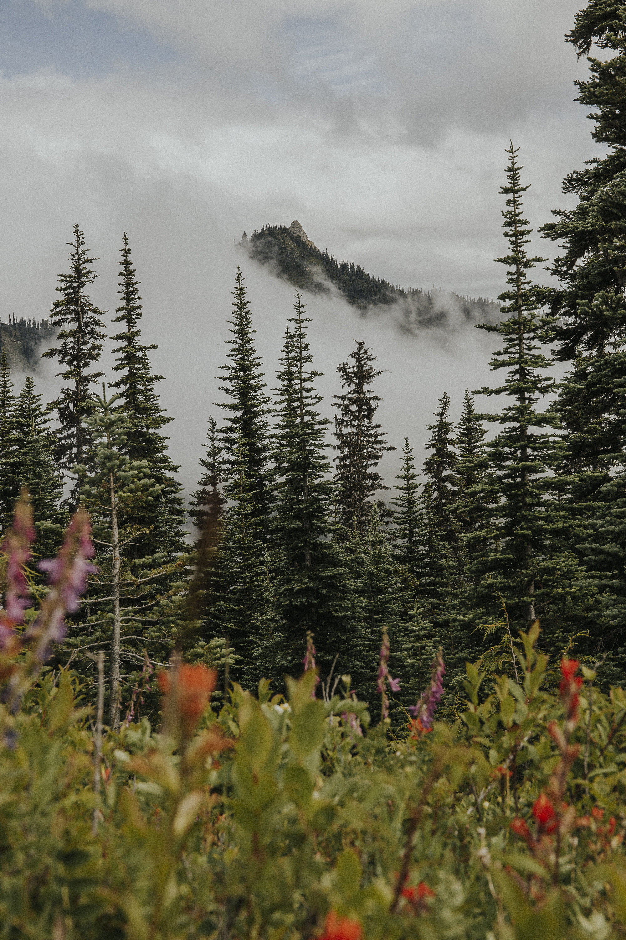 Hurricane Ridge Olympic National Park-17resized.jpg