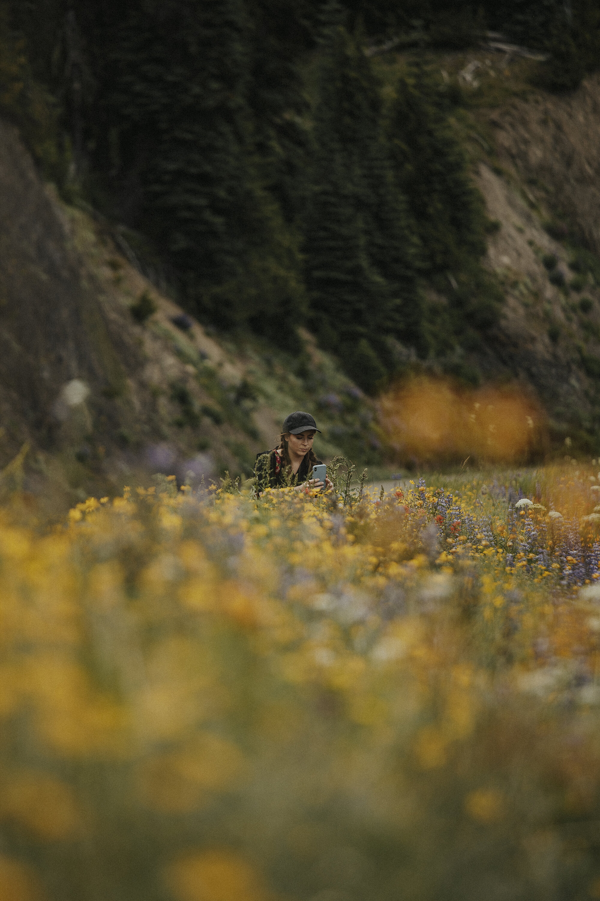 Hurricane Ridge Olympic National Park-19resized.jpg