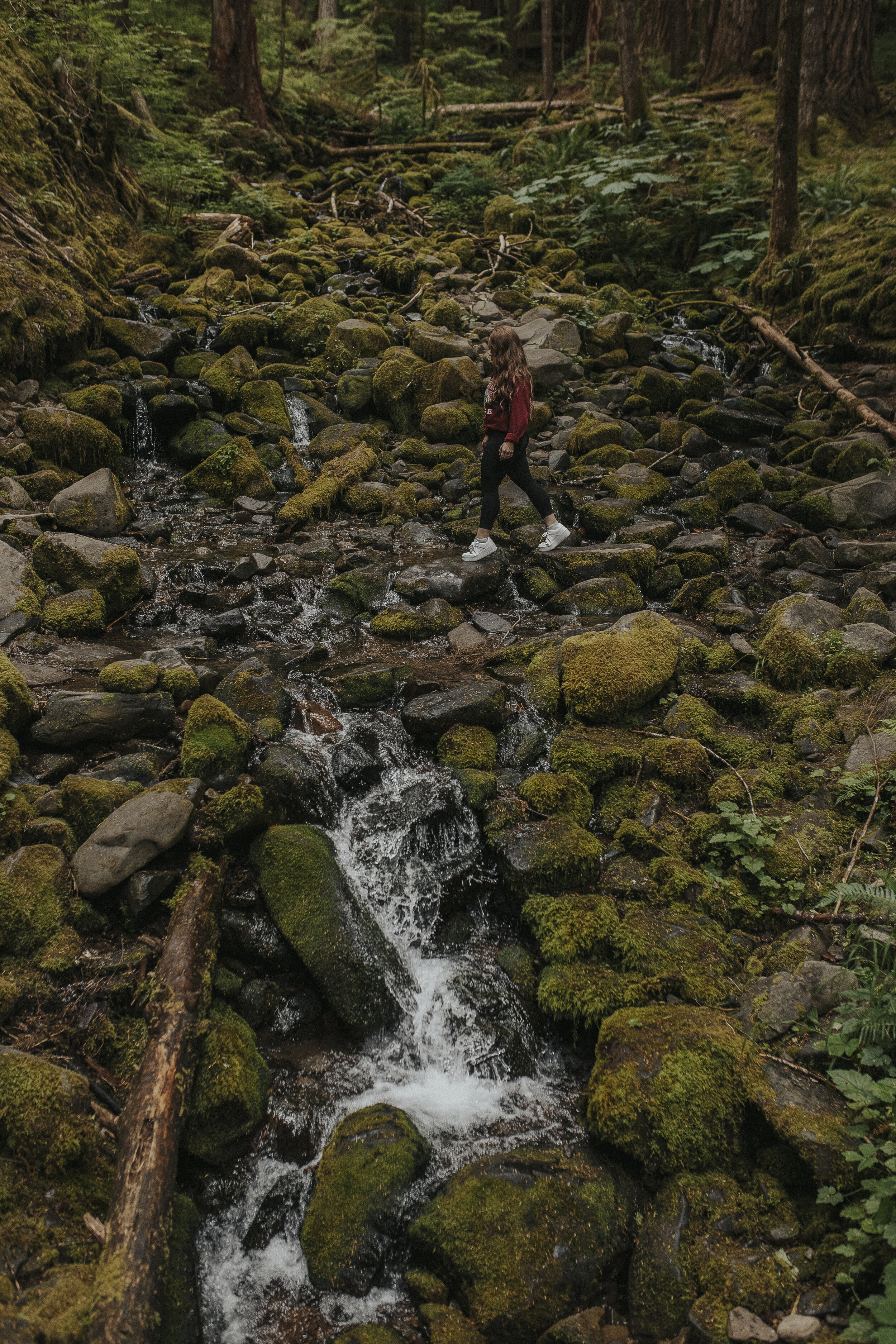 olympic national park sol duc falls-31.jpg