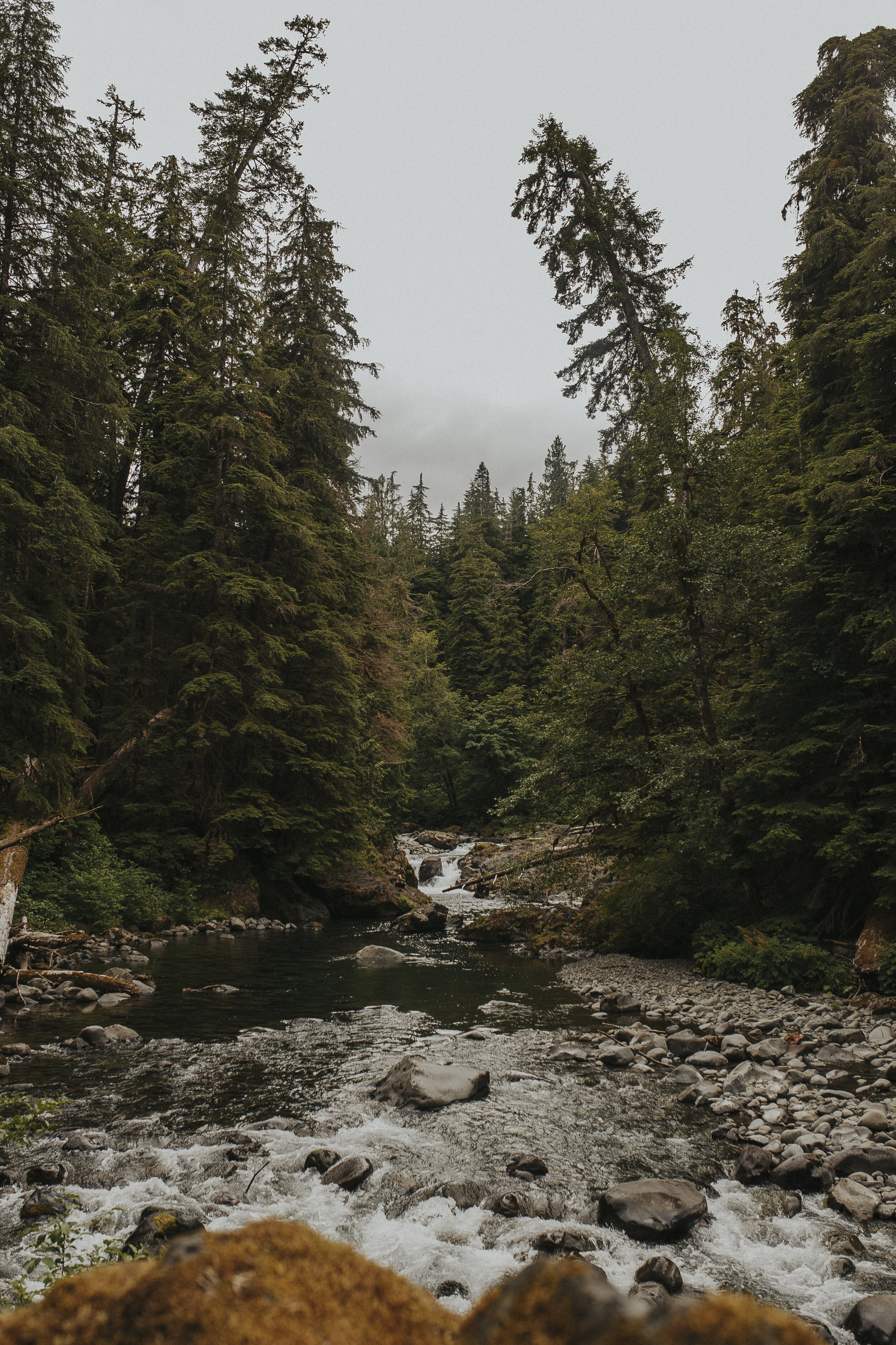 olympic national park sol duc falls-28.jpg