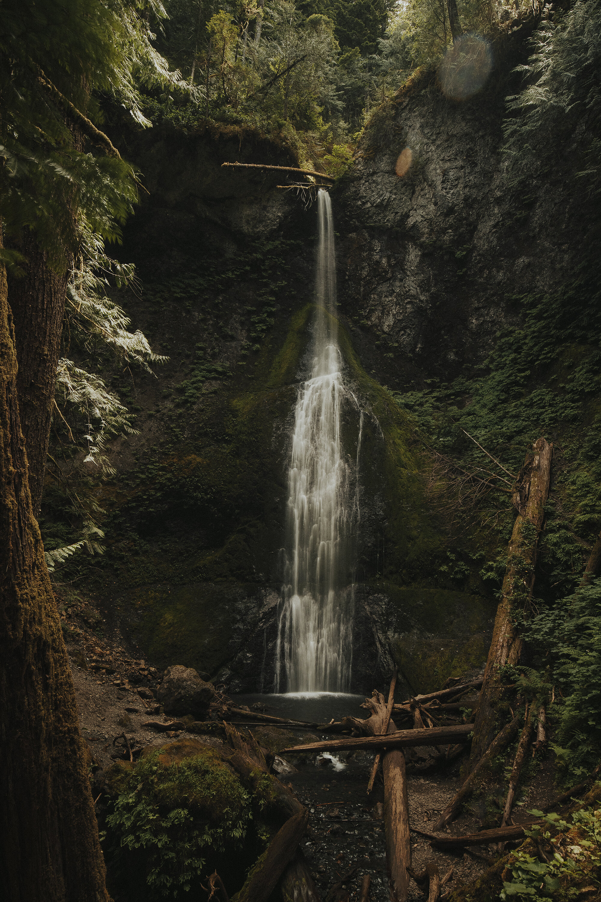 olympic national park sol duc falls-17resized.jpg