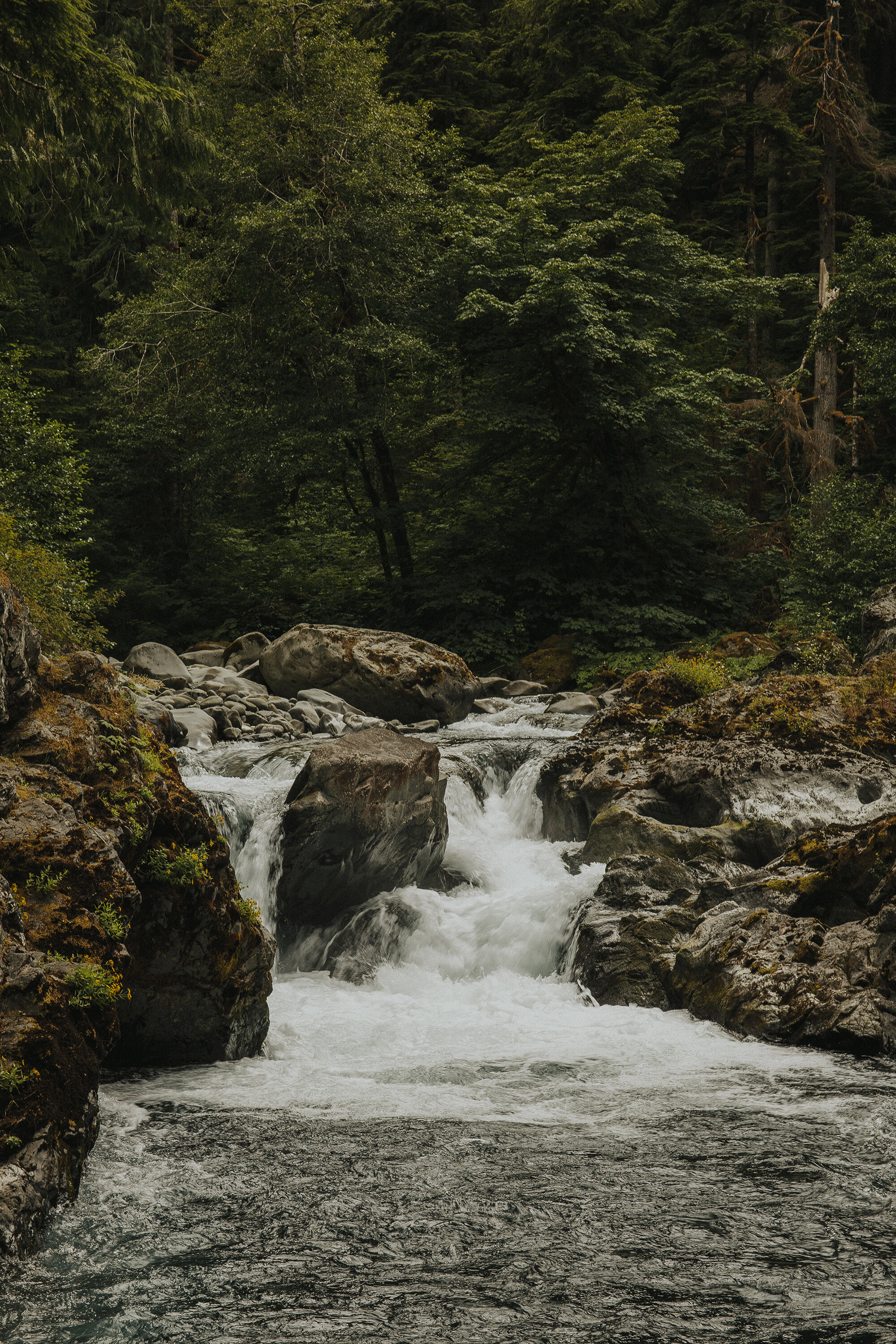 olympic national park sol duc falls-29resized.jpg