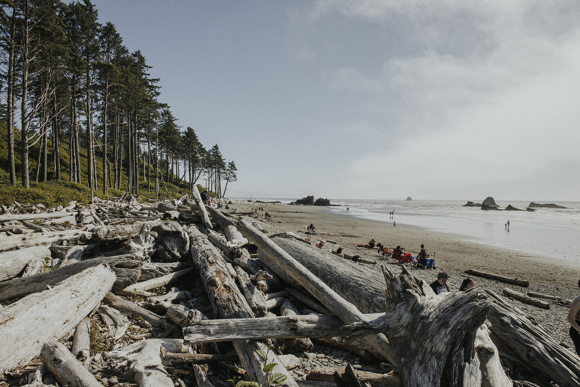 ruby beach washington-8resized.jpg