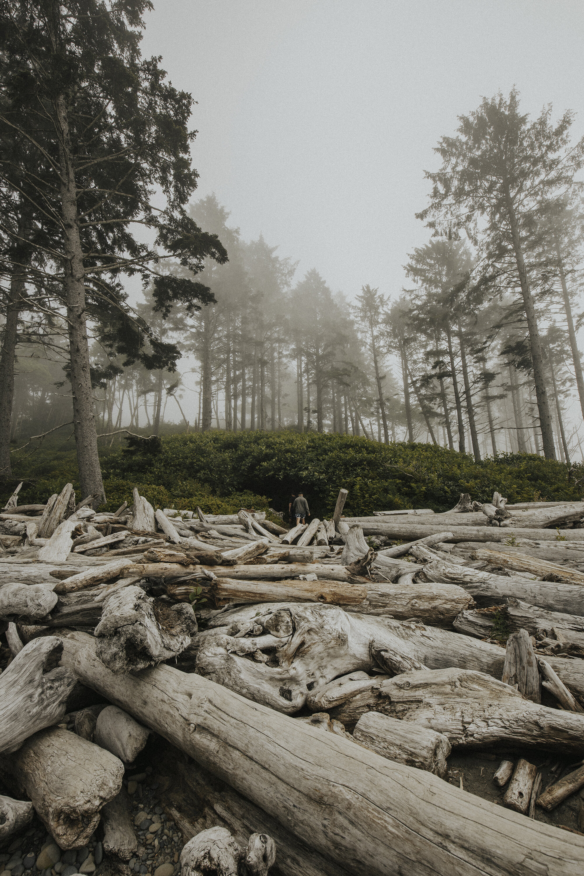 ruby beach washington-4resized.jpg