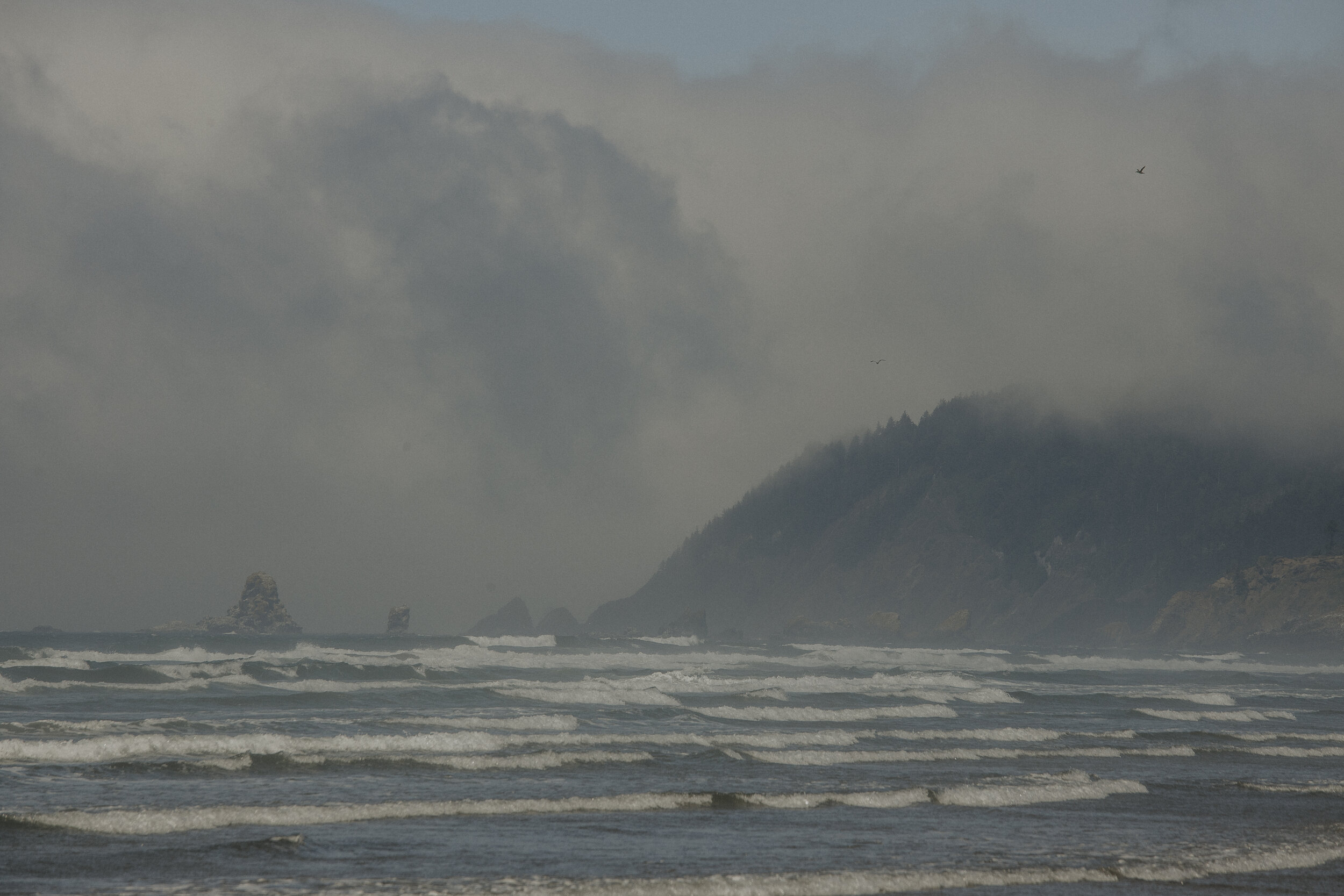 Cannon Beach Oregon Road Trip Honeymoon-11.jpg