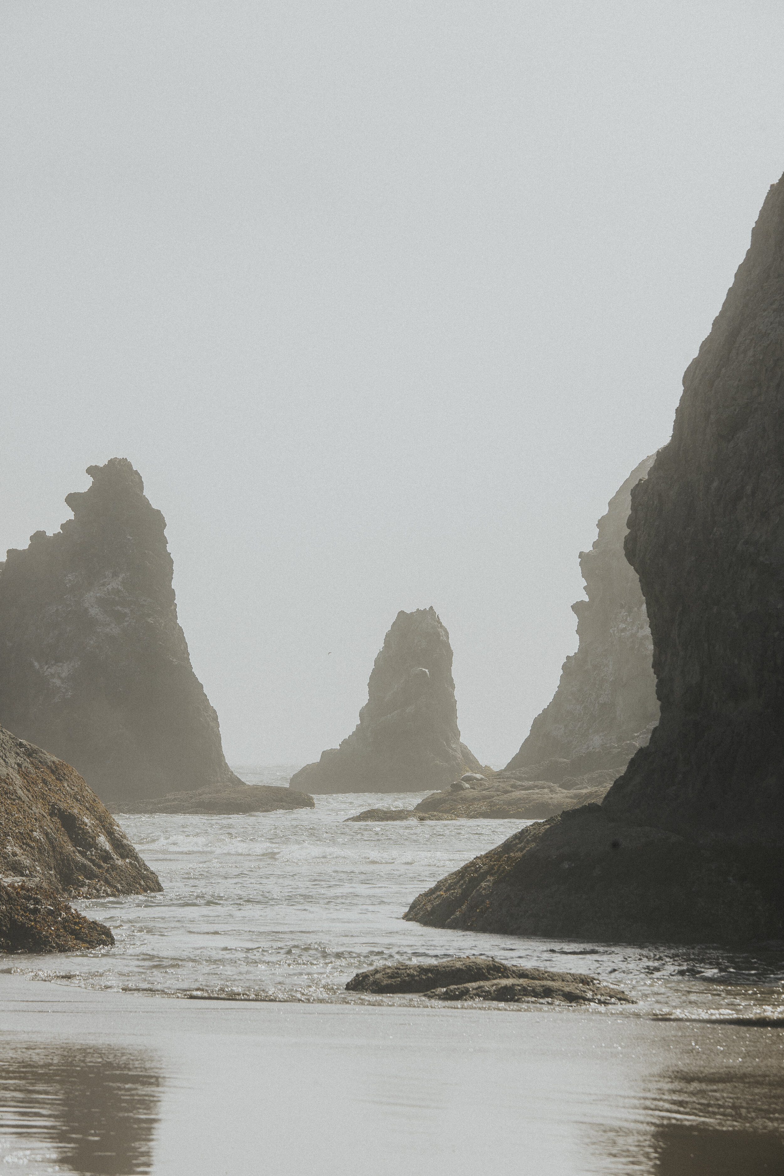 oregon coastline boardman state park-14.jpg