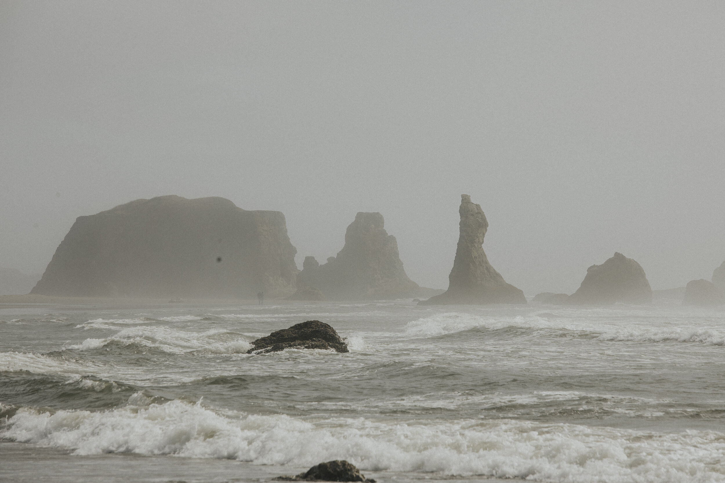 oregon coastline boardman state park-15.jpg