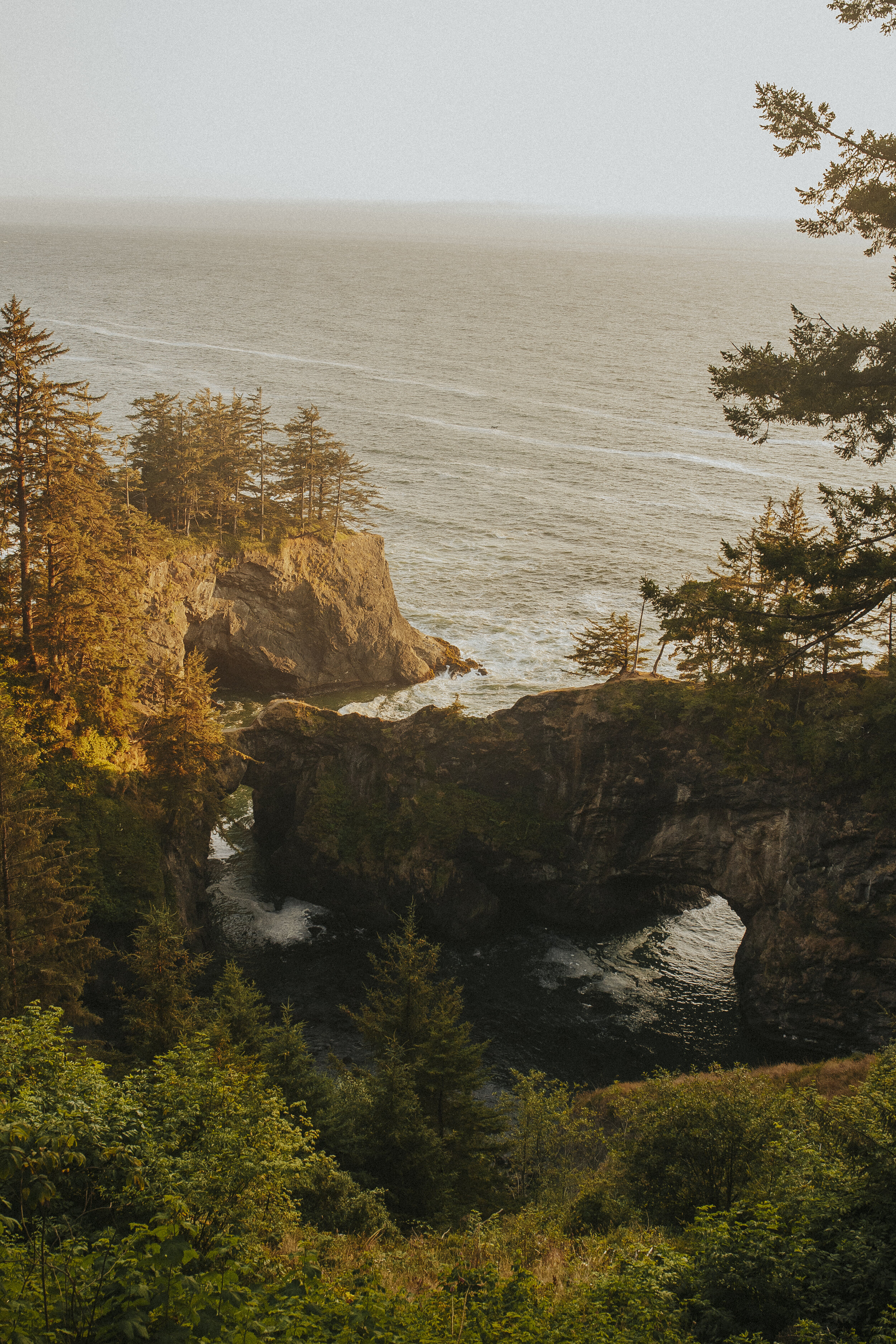 oregon coastline boardman state park-21.jpg