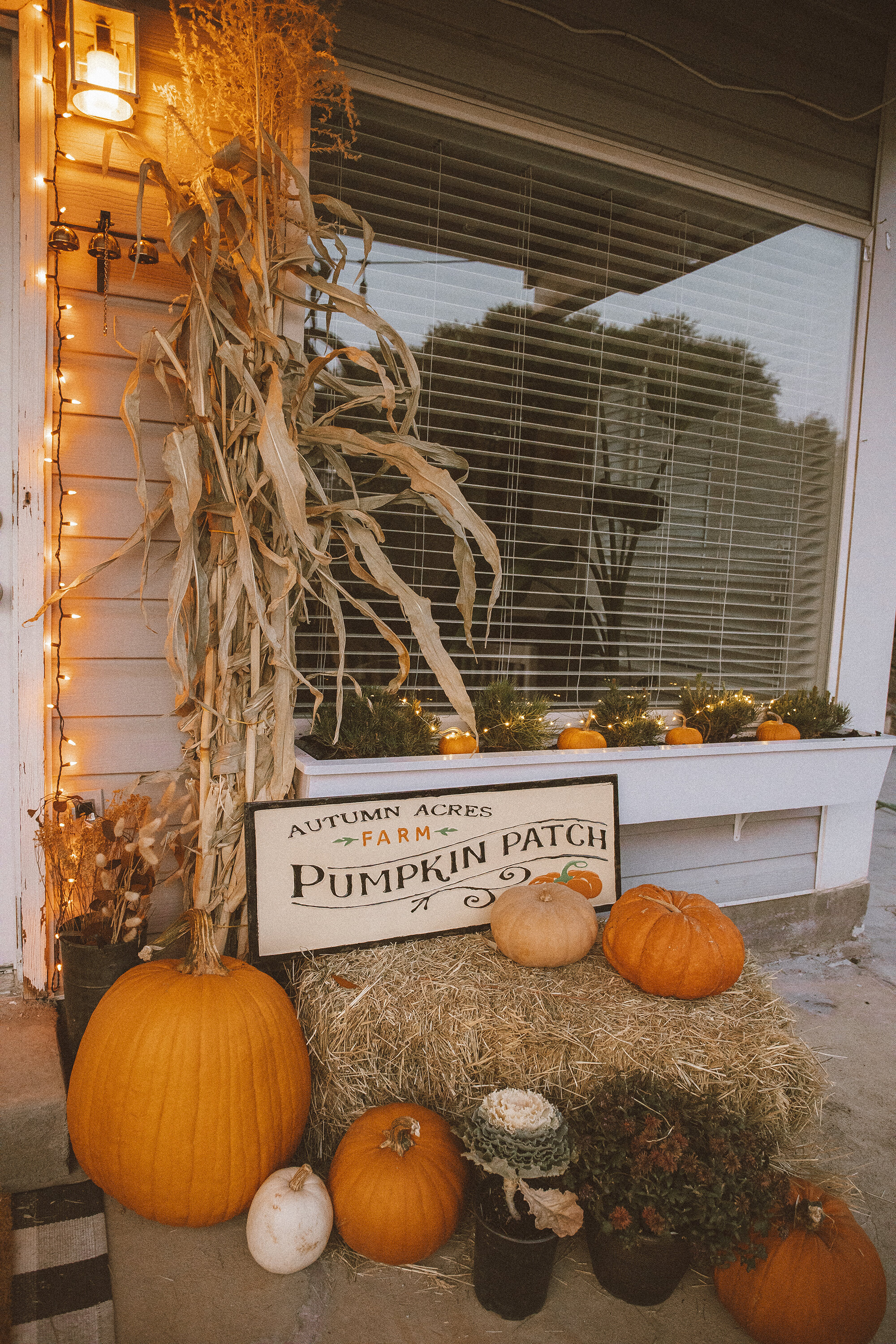 halloween patio porch home decor-11resized.jpg