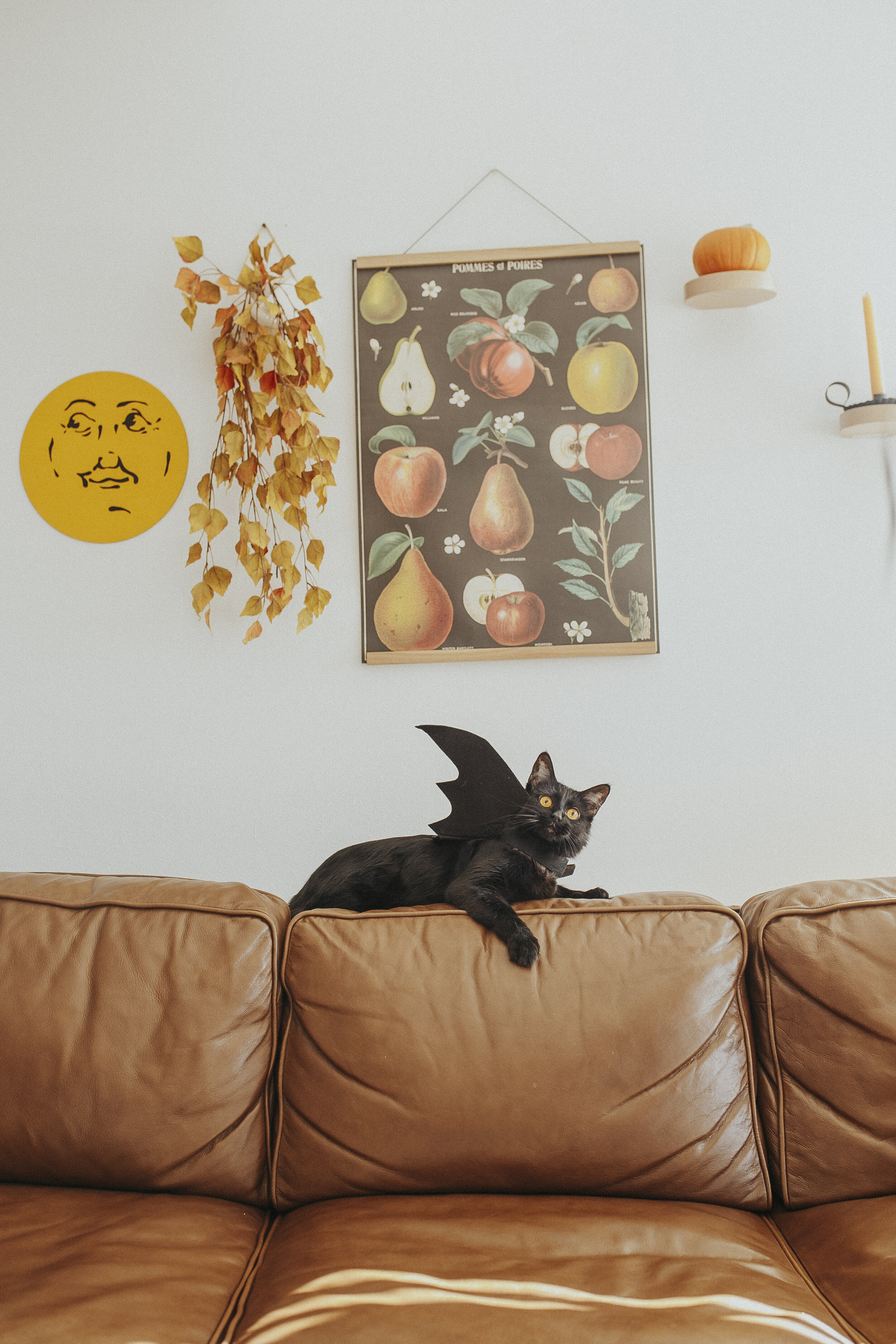 Wicker Black Cat Halloween Bat-8.jpg