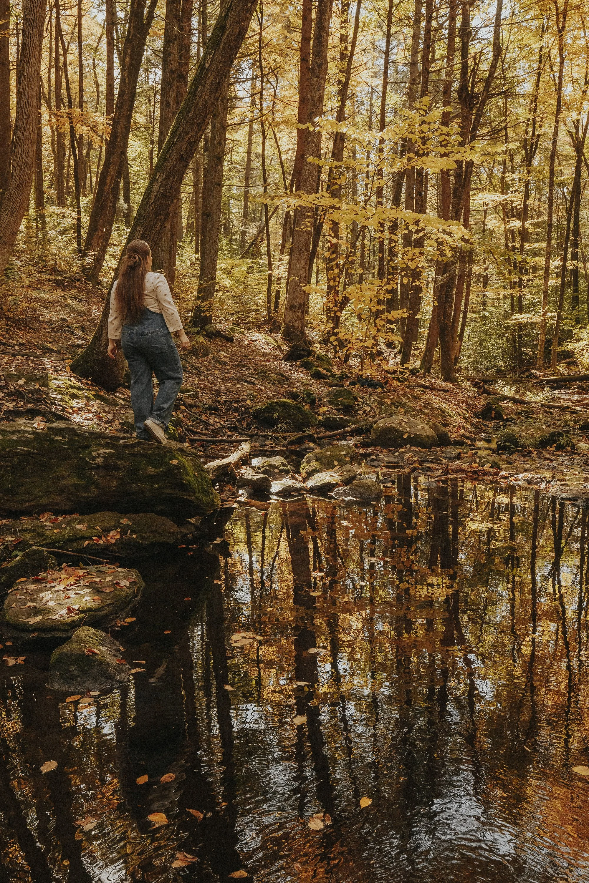 Experiencing Fall In New England With The Family