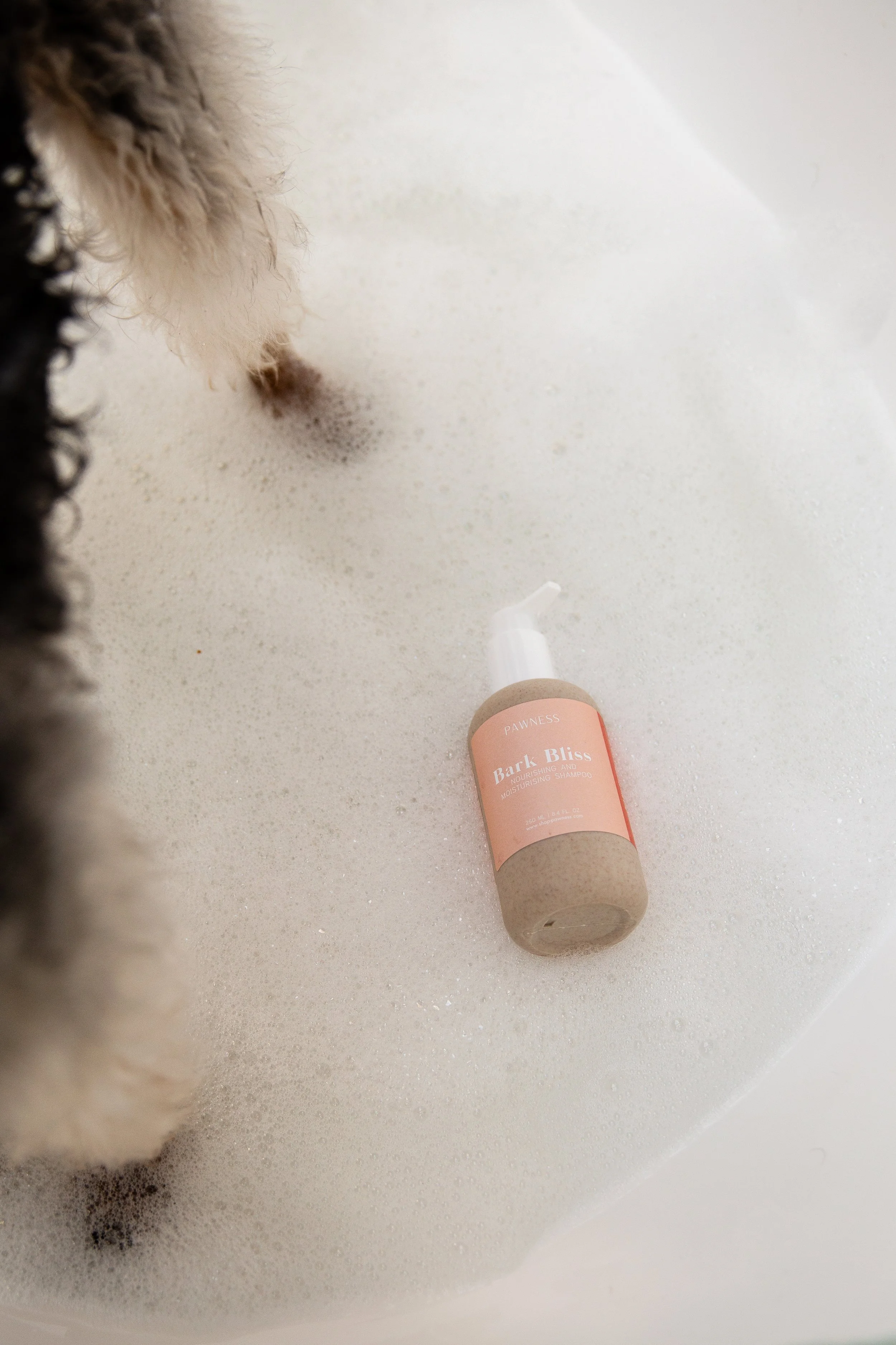 Pawness Dog Shampoo