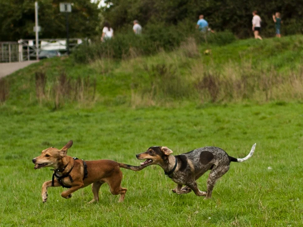 _MG_5778.jpg