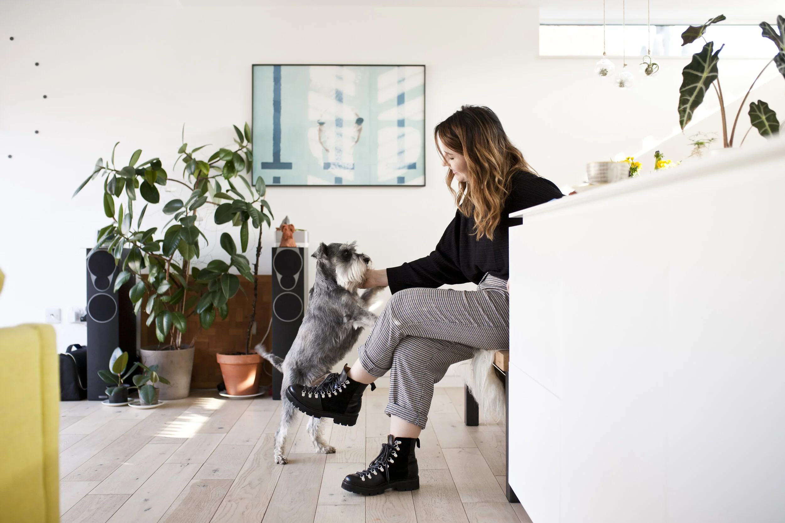 pet stories — Pet Model Agency UK specialising in rescued and