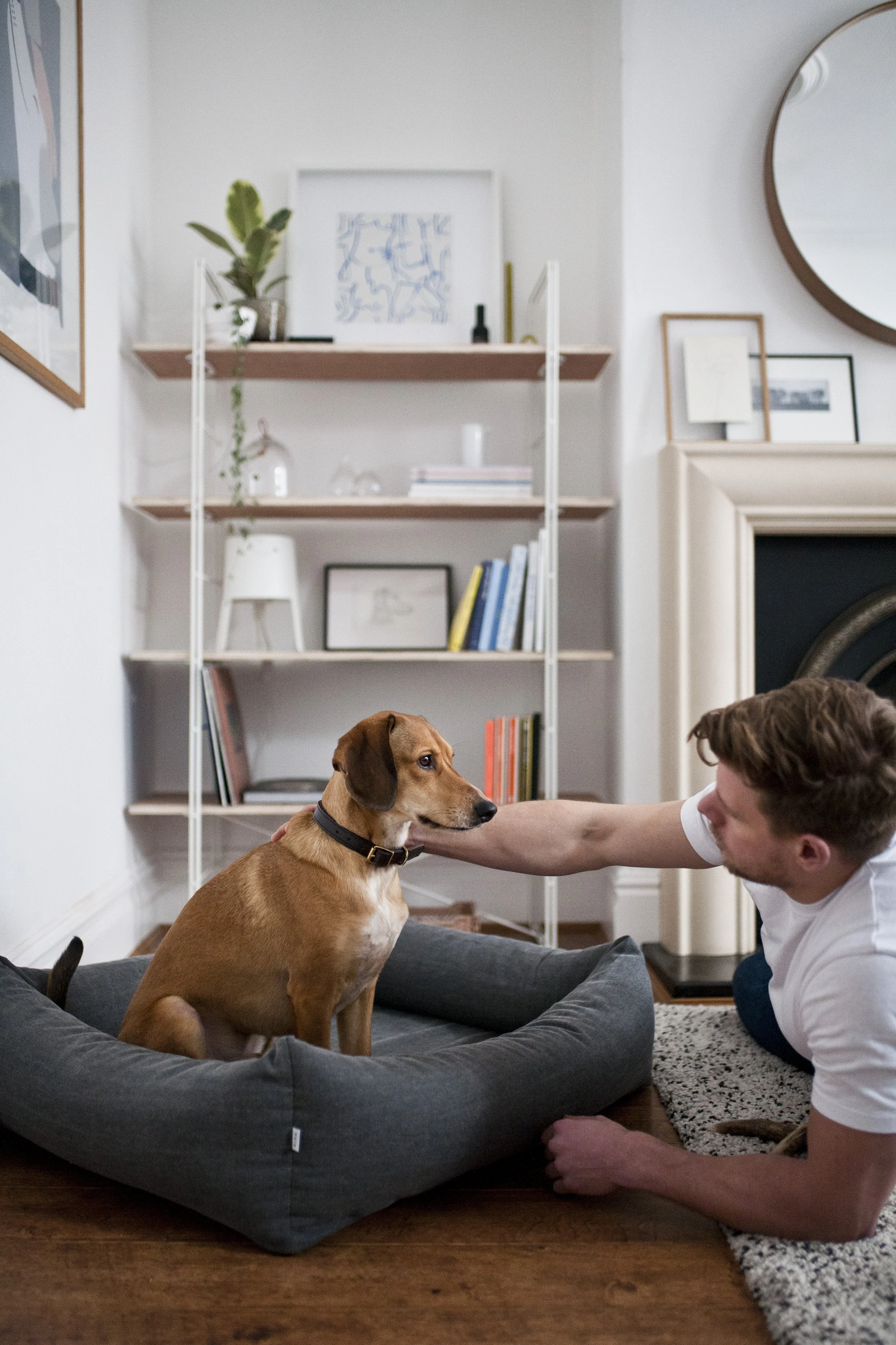 dog photographer UK.JPG
