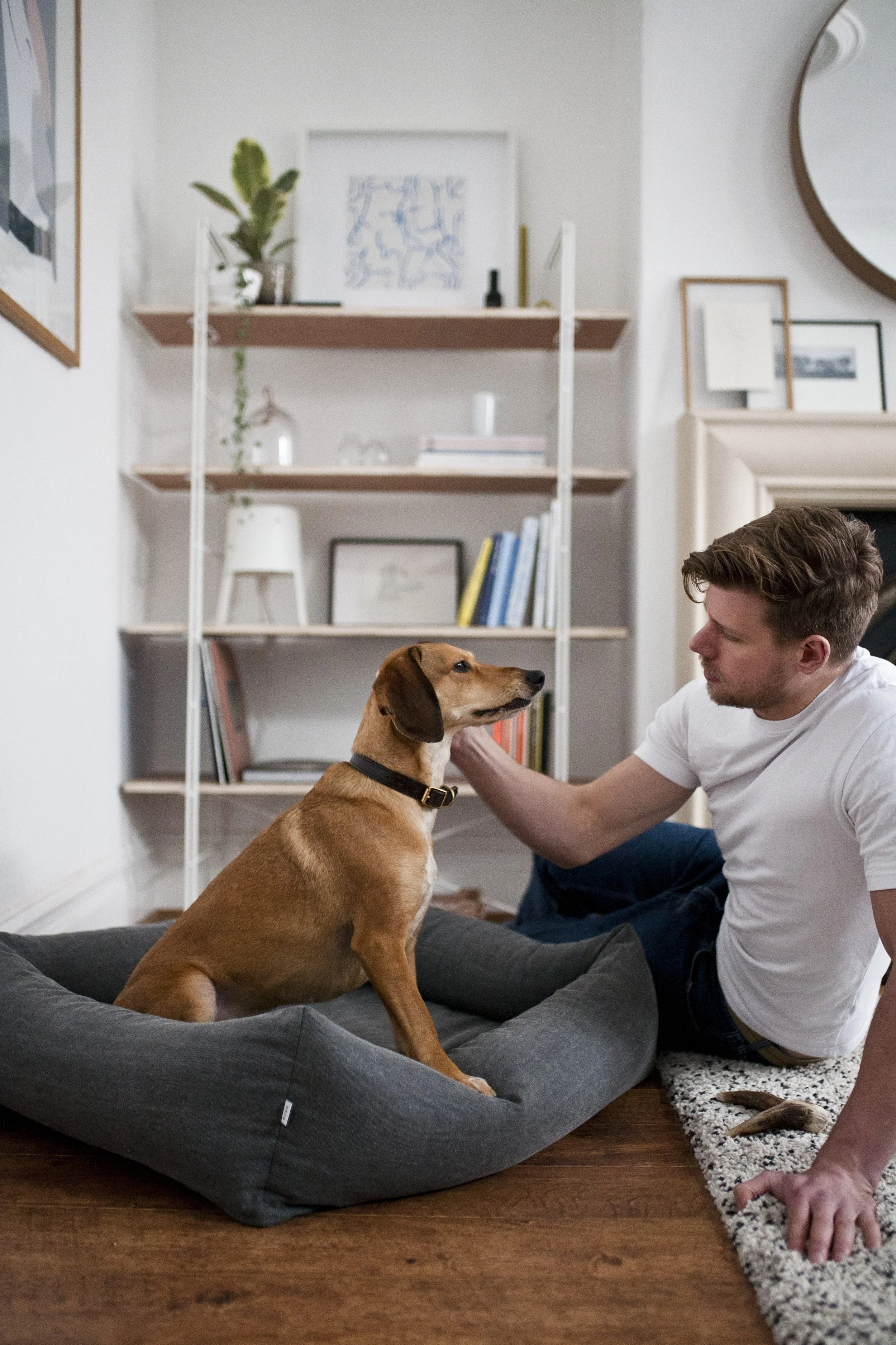 pet photographer sheffield.JPG