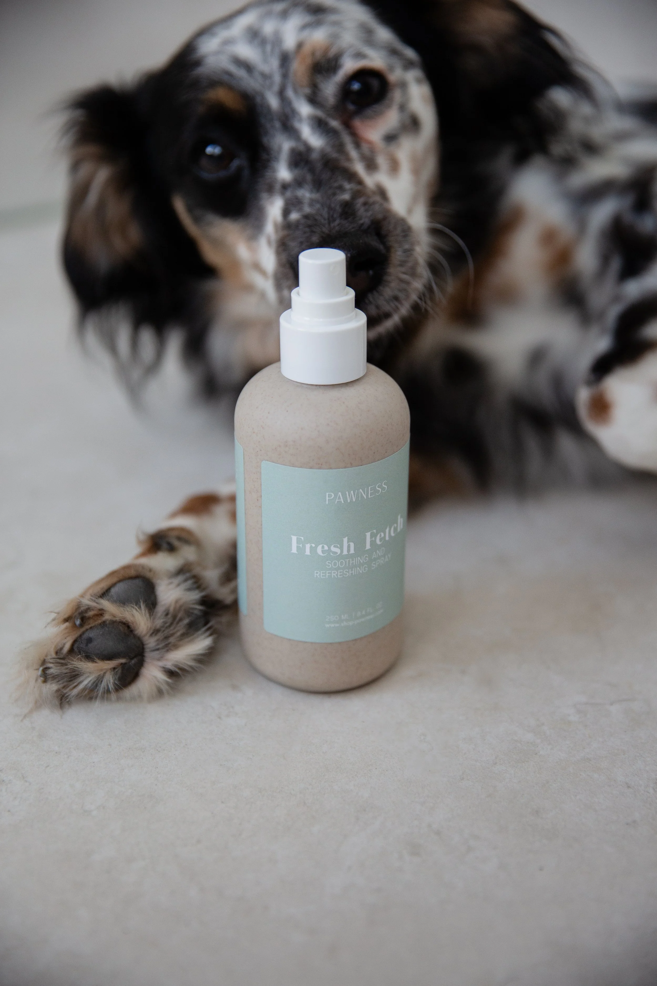 Pawness Dog shampoo and conditioner 