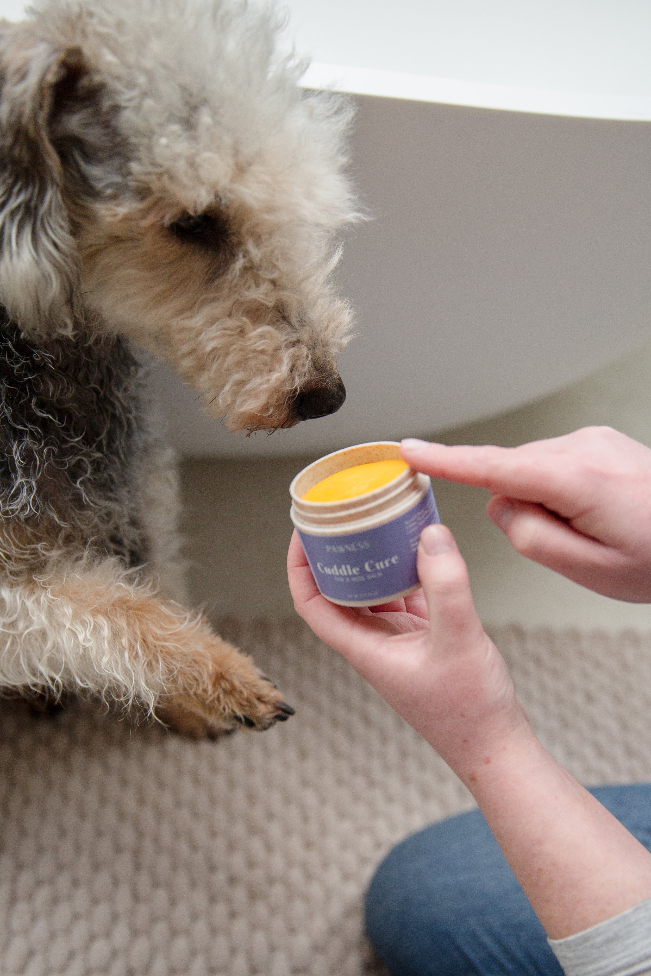 Pawness nose and paw balm 