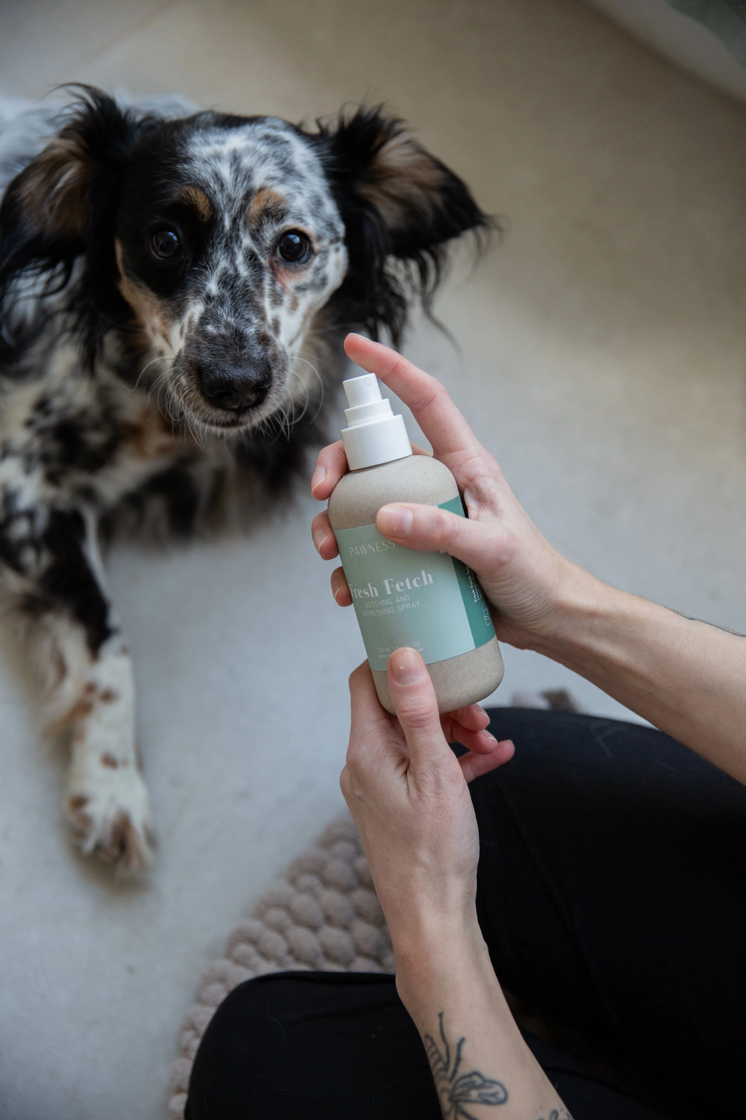 Pawness Shampoo 