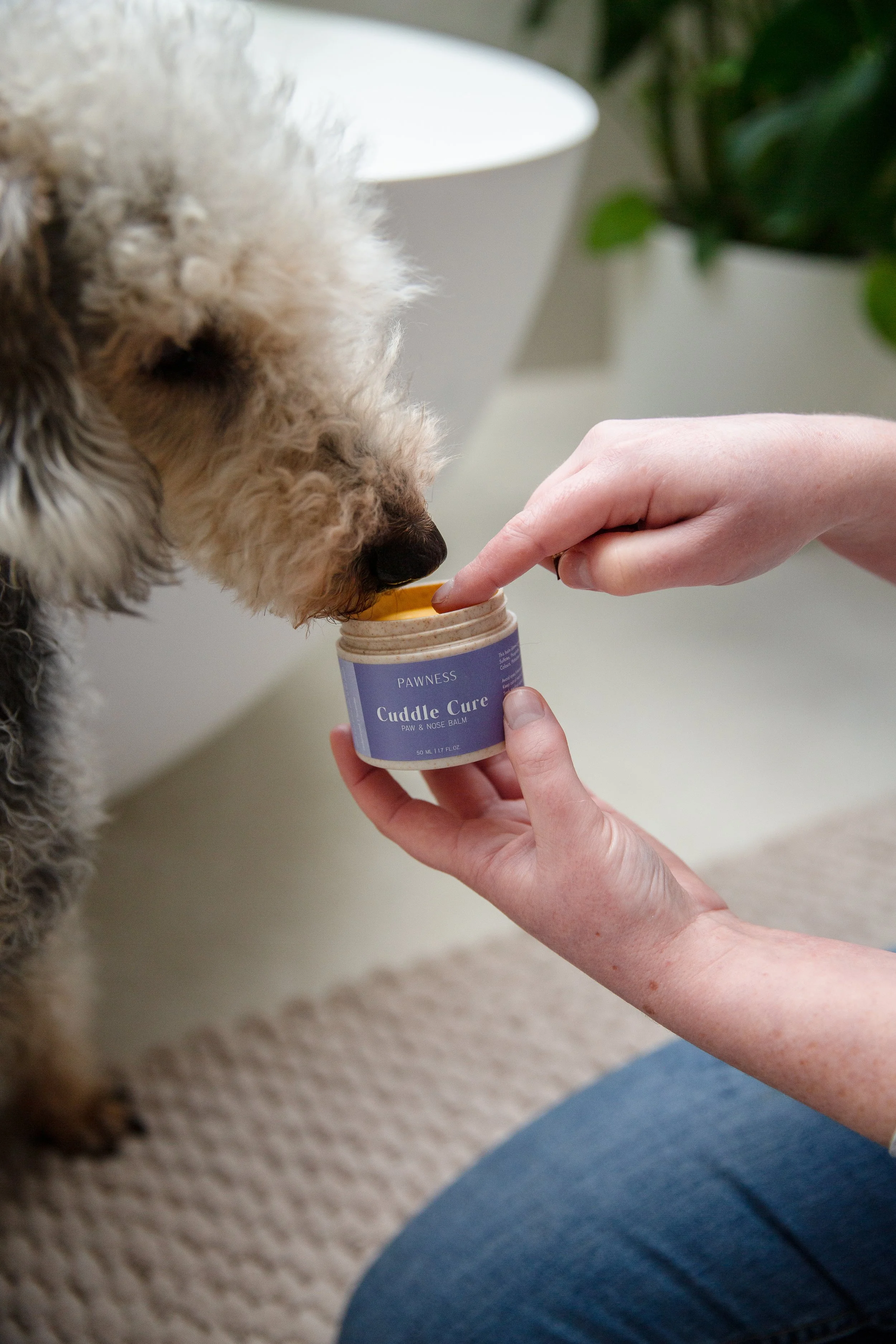 Pawness nose and paw balm 