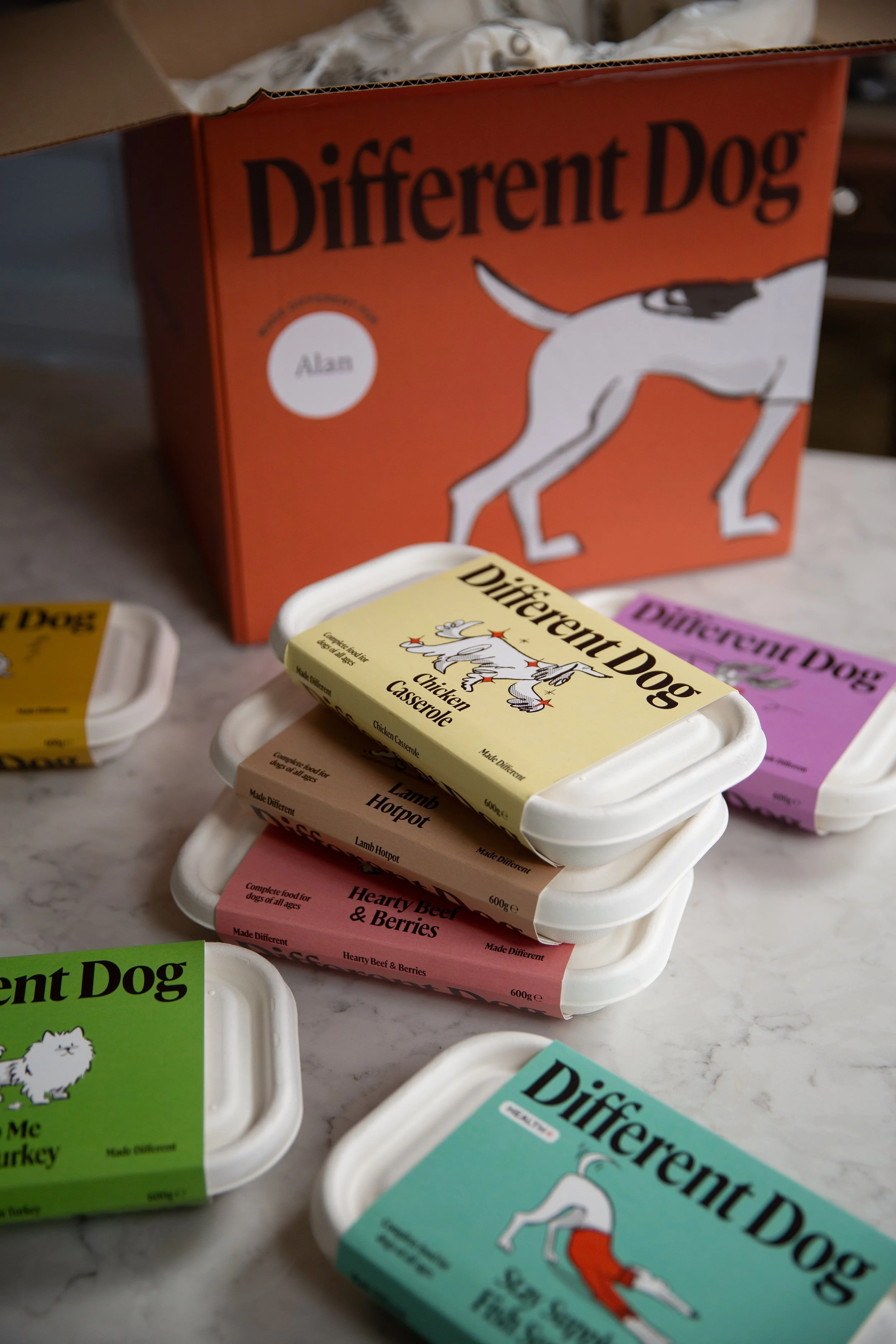 Yorkshire dog brand photographer.jpg