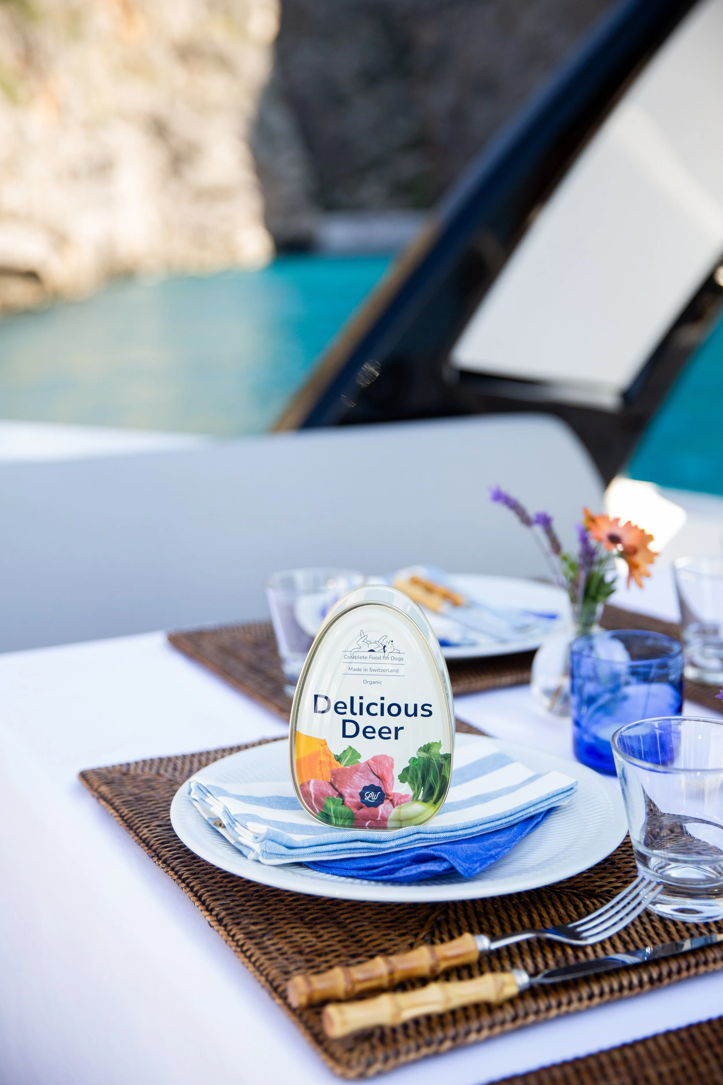 Luxury Loonawell dog food pictured on a luxury yacht in Mallorca