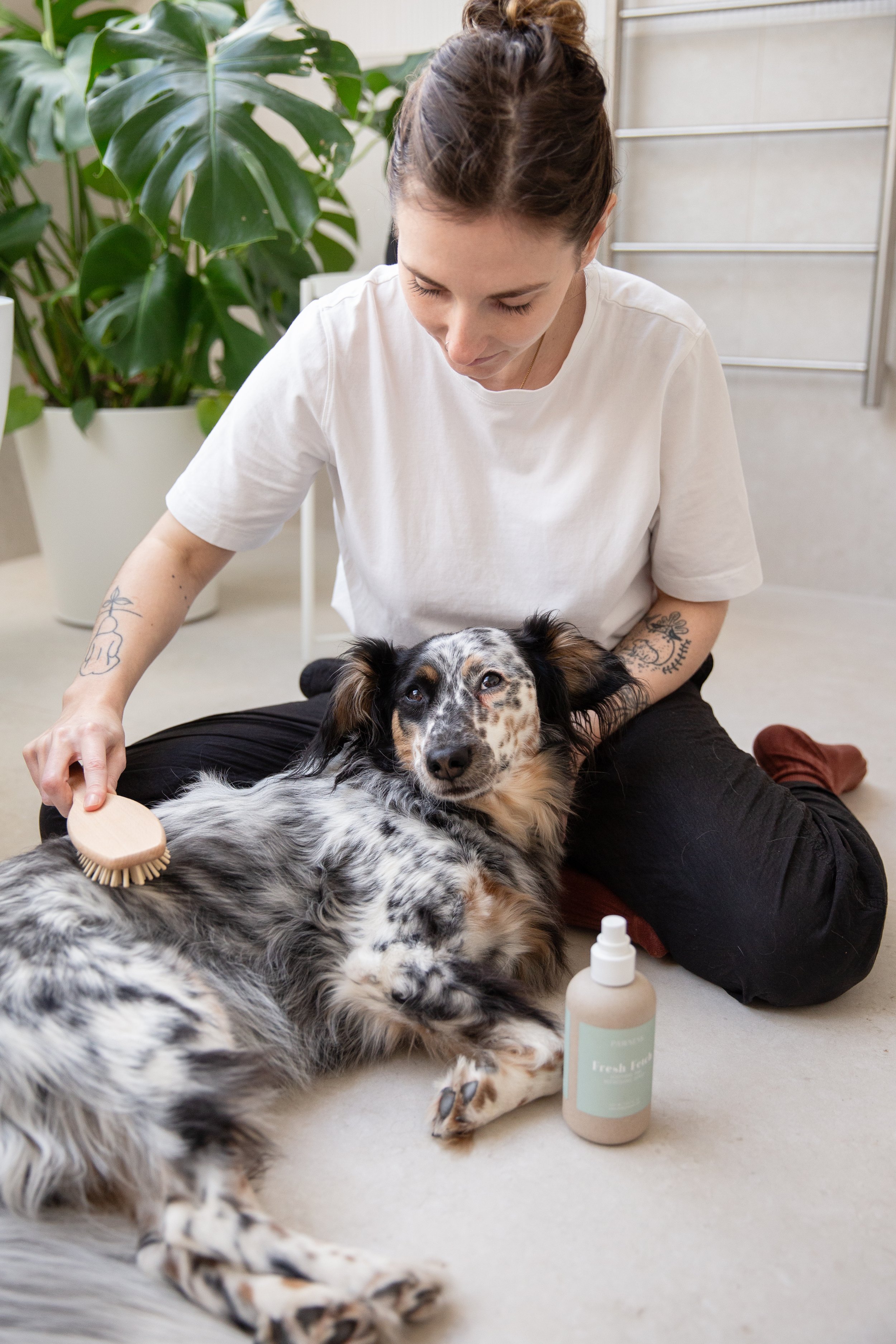 Relaxed dog being brushed 