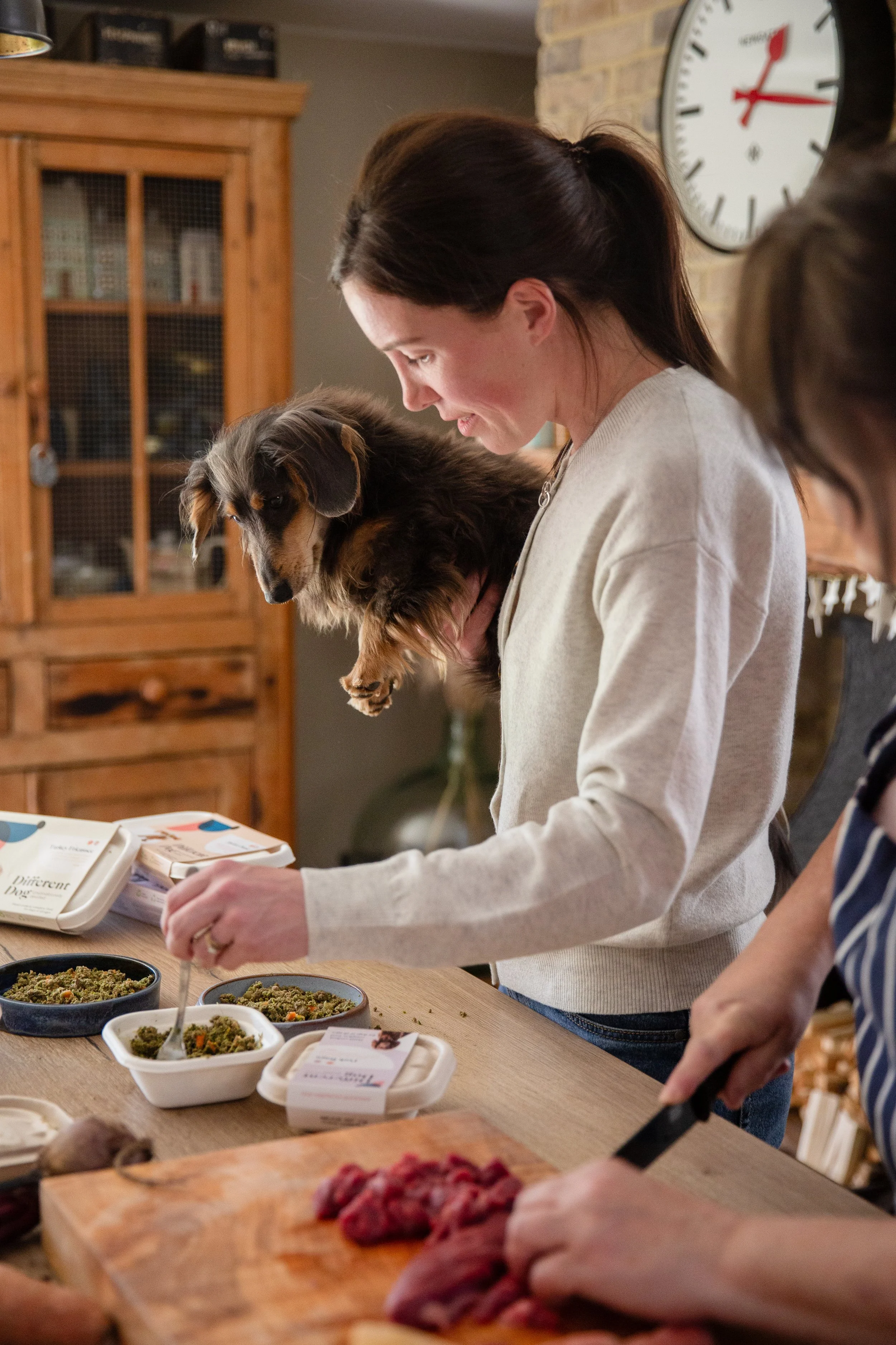 Longhaired Dachshund with dog-mum, in a cosy cottage, serving out Different Dog dog food